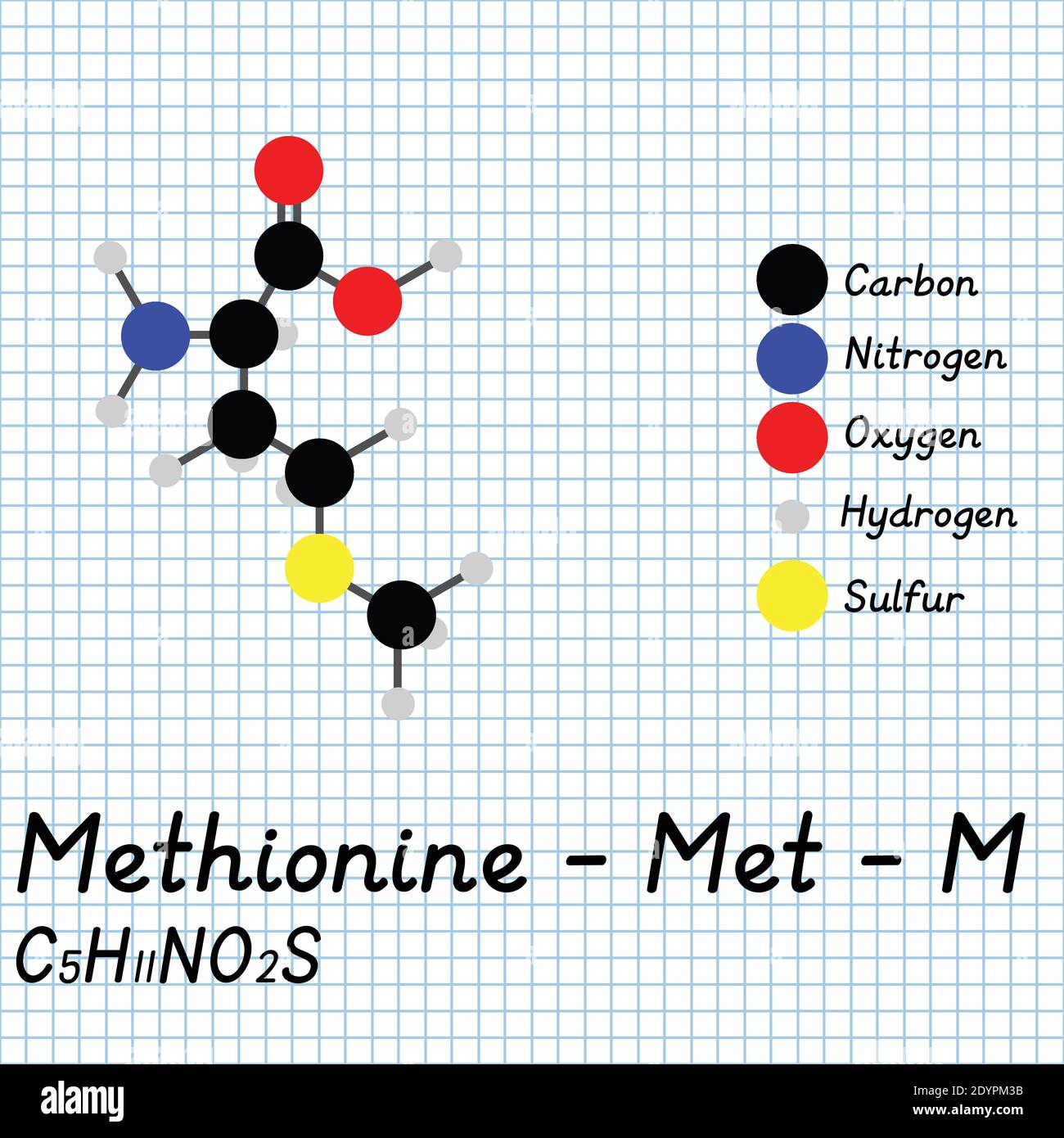 Methionine - Met - M Amino Acid molecular formula and chemical structure . 2D Ball and stick model on school paper sheet background. EPS10 Stock Vector