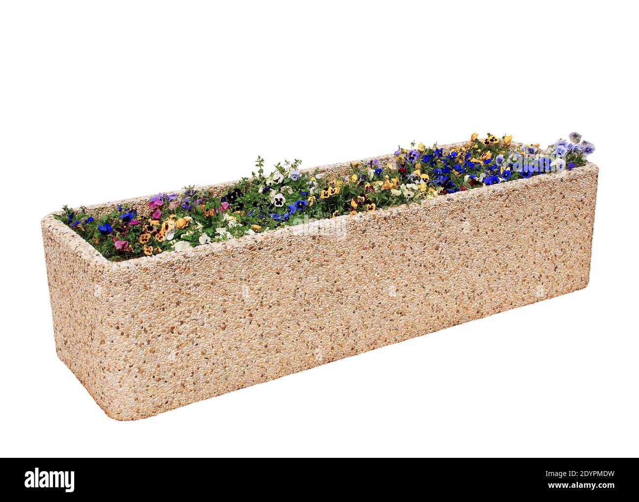 Flower box with flowers on a white background. Stock Photo