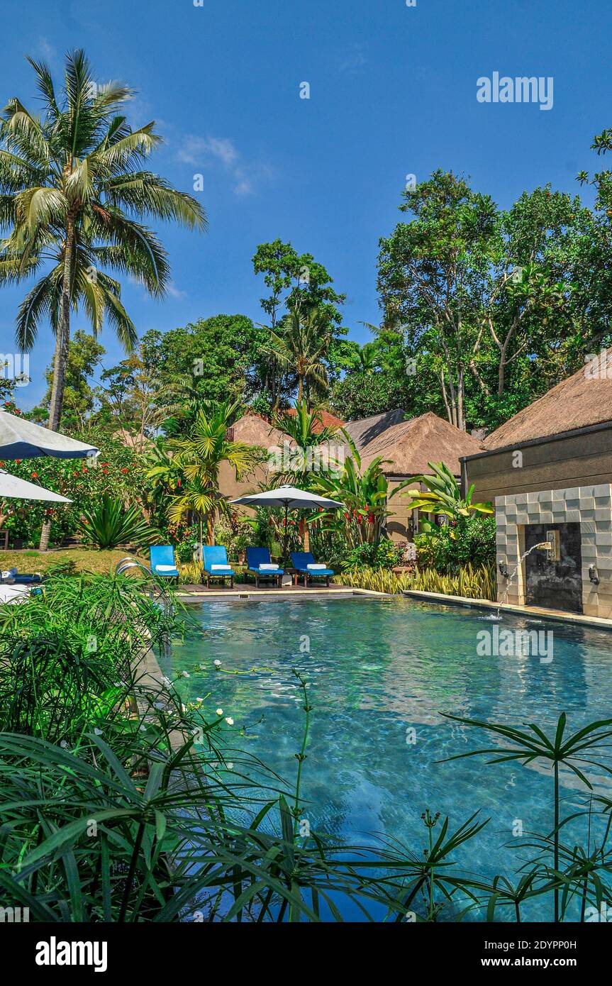 Typical Balinese hotel, surrounded by luxuriant foliage around the chalets and swimming pool. Stock Photo