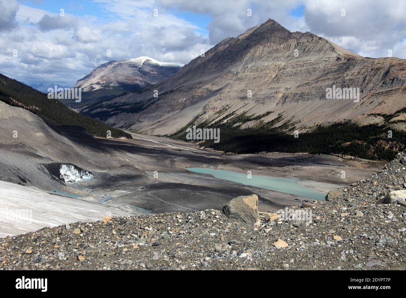 Terminus of the Athabasca Glacier - Jasper National Park, Canada Stock Photo