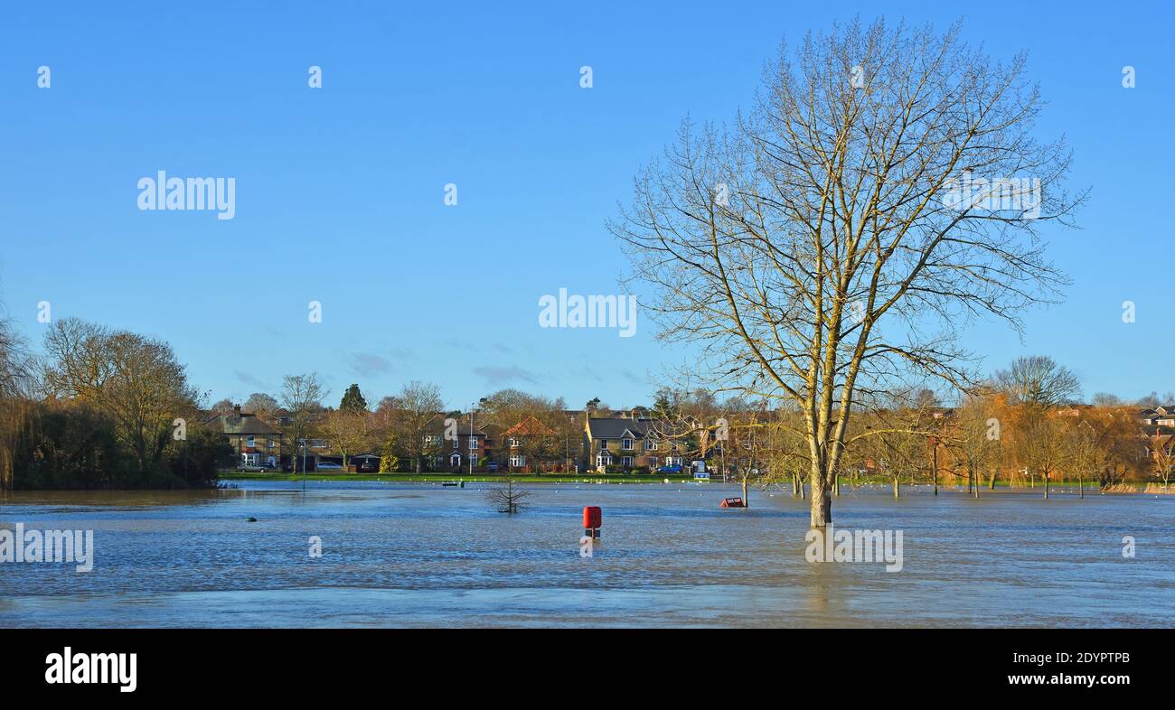 St Neots regatta meadow flooded   and underwater with blue sky and tree. Stock Photo