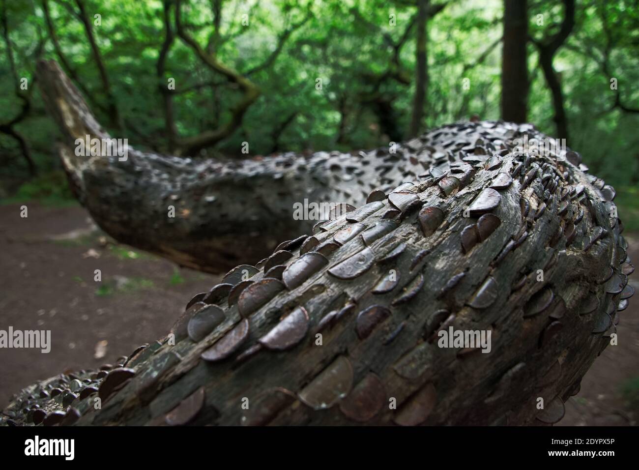 Padley Money Tree, Grindleford, Peak Ditrict, Derbyshire, UK