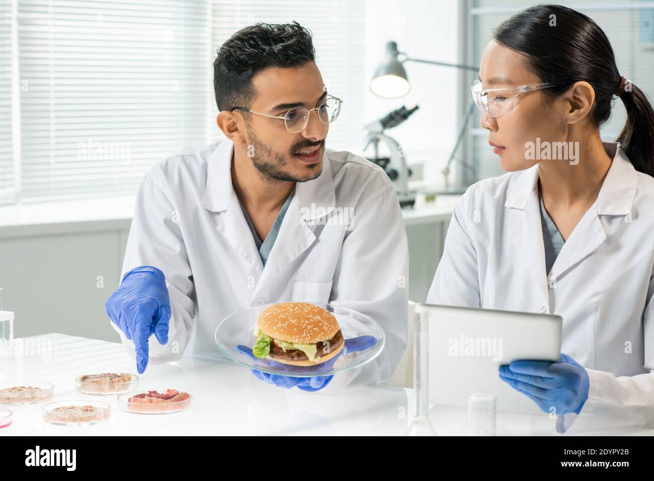 Gloved young man with hamburger on plate pointing at one of samples of raw vegetable meat while describing its characteristics to colleague Stock Photo