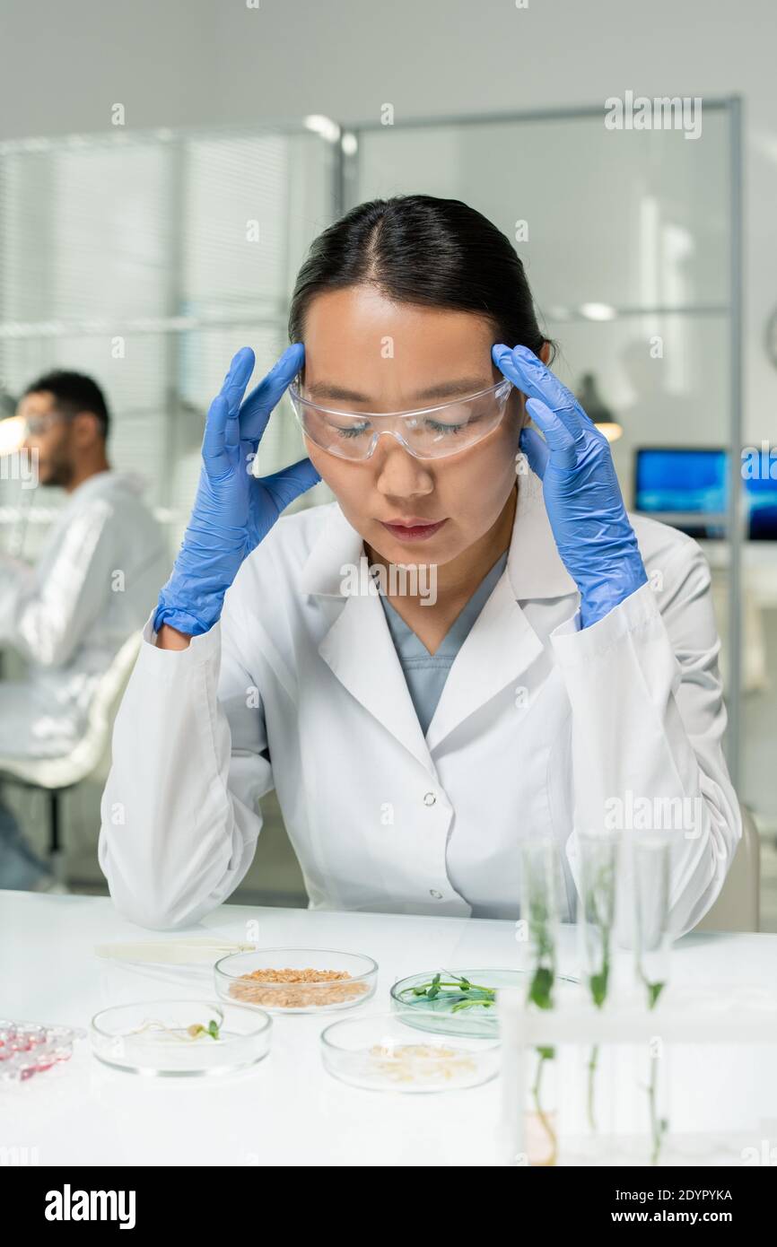 Young tired Asian female researcher in protective workwear touching her head and bending over desk while studying lab-grown sprouts Stock Photo