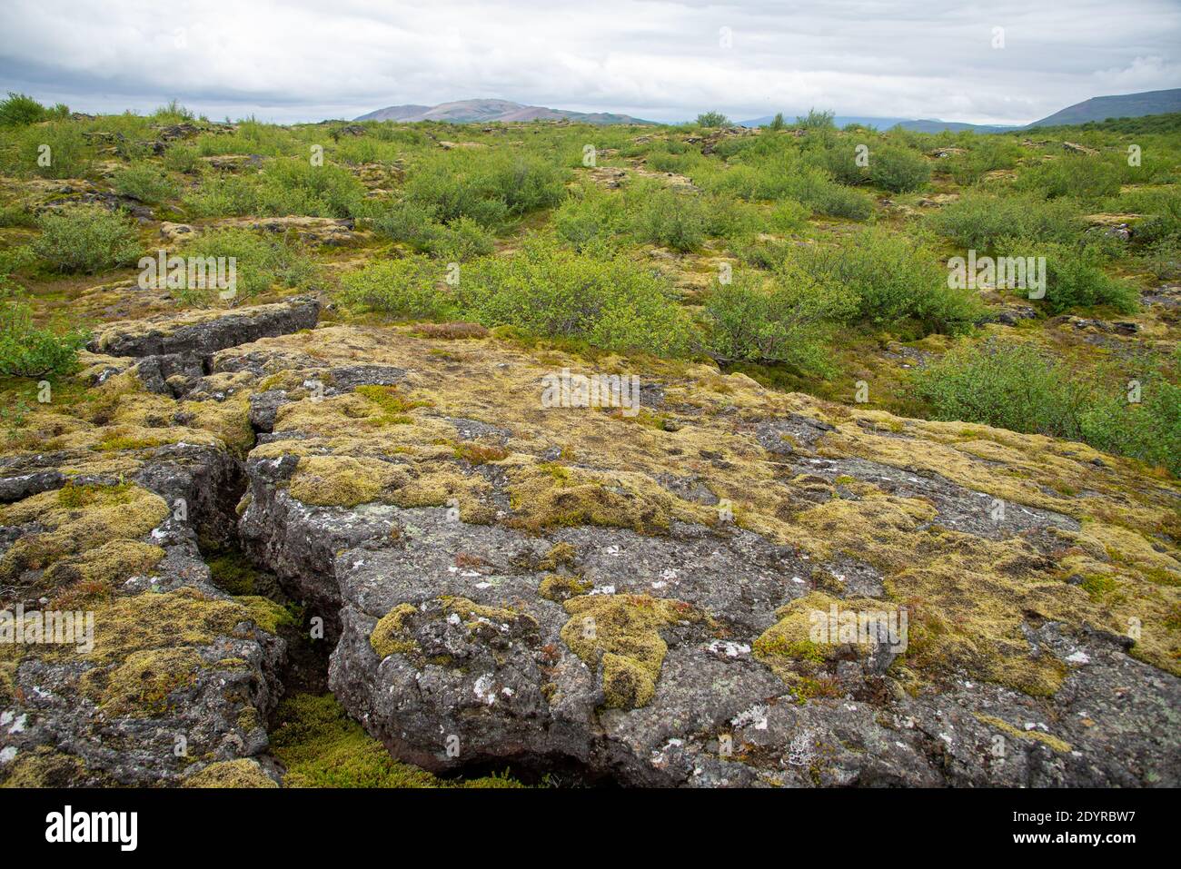 cold and cracked  lavastreams at landscape near Hraunfossar, Iceland Stock Photo