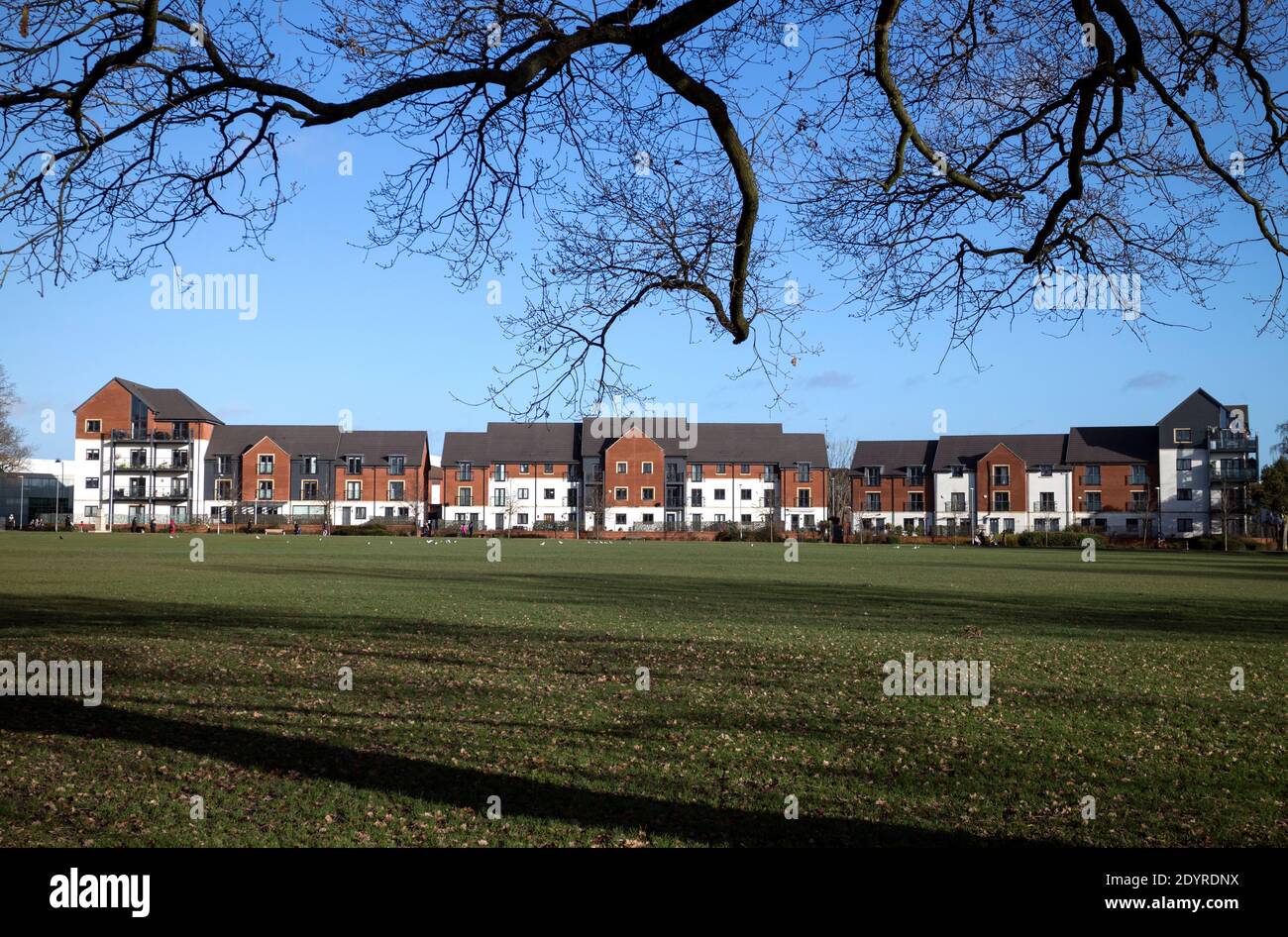 Shirley Park in winter, Shirley, West Midlands, England, UK Stock Photo