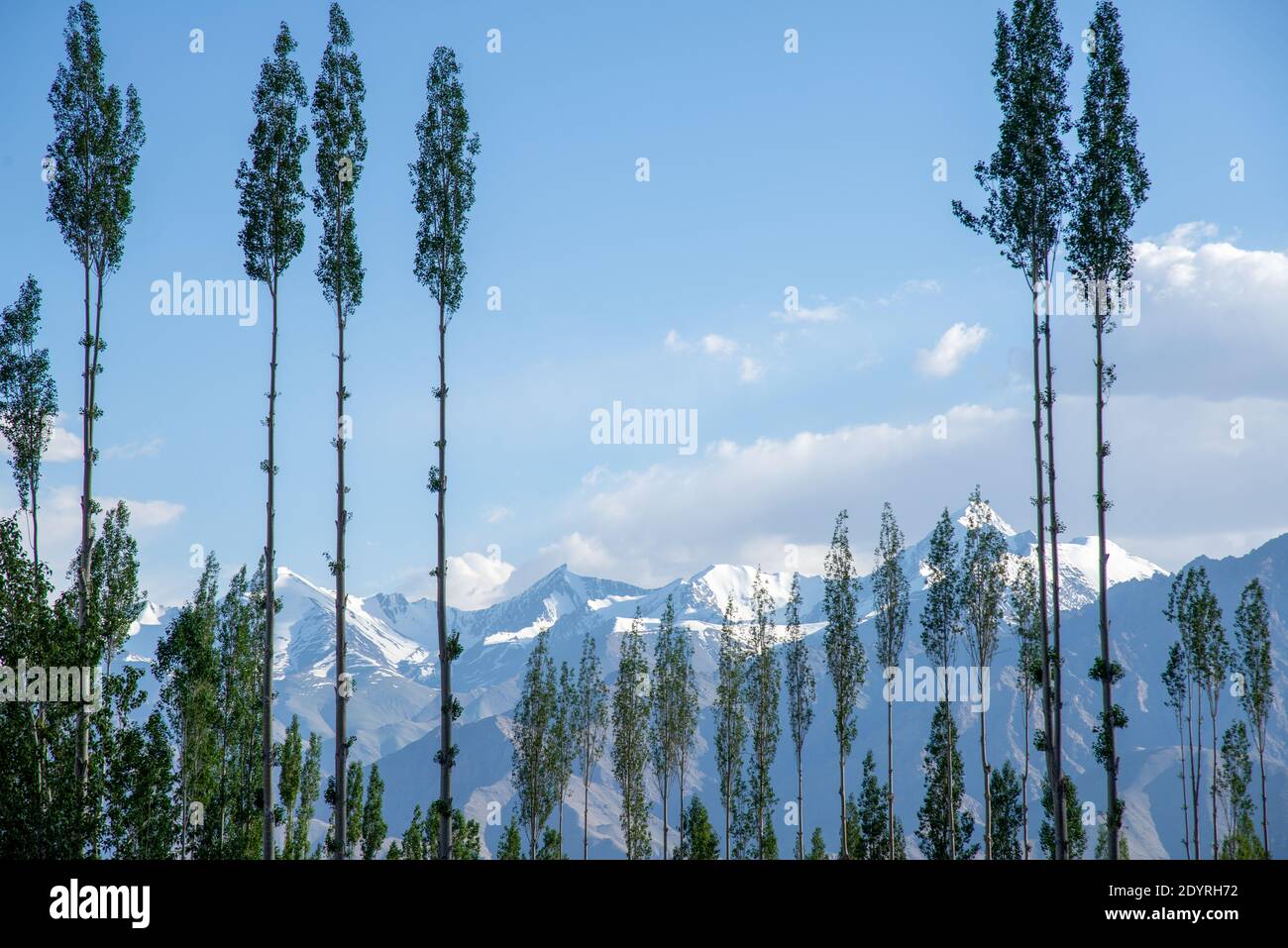 view at mountain range at Ladakh, India Stock Photo