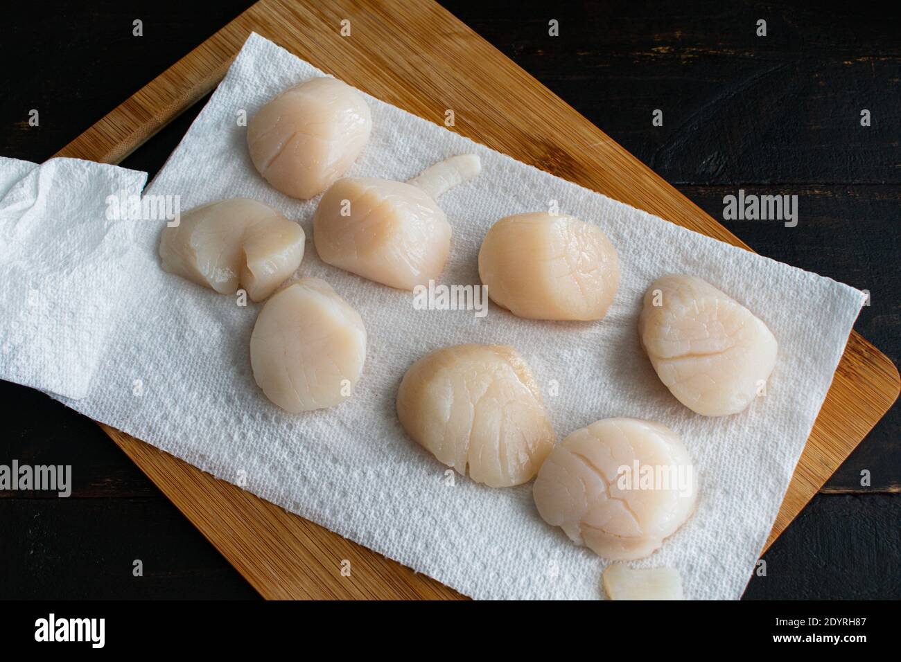 Drying Scallops on a Paper Towel Large sea scallops being dried on a