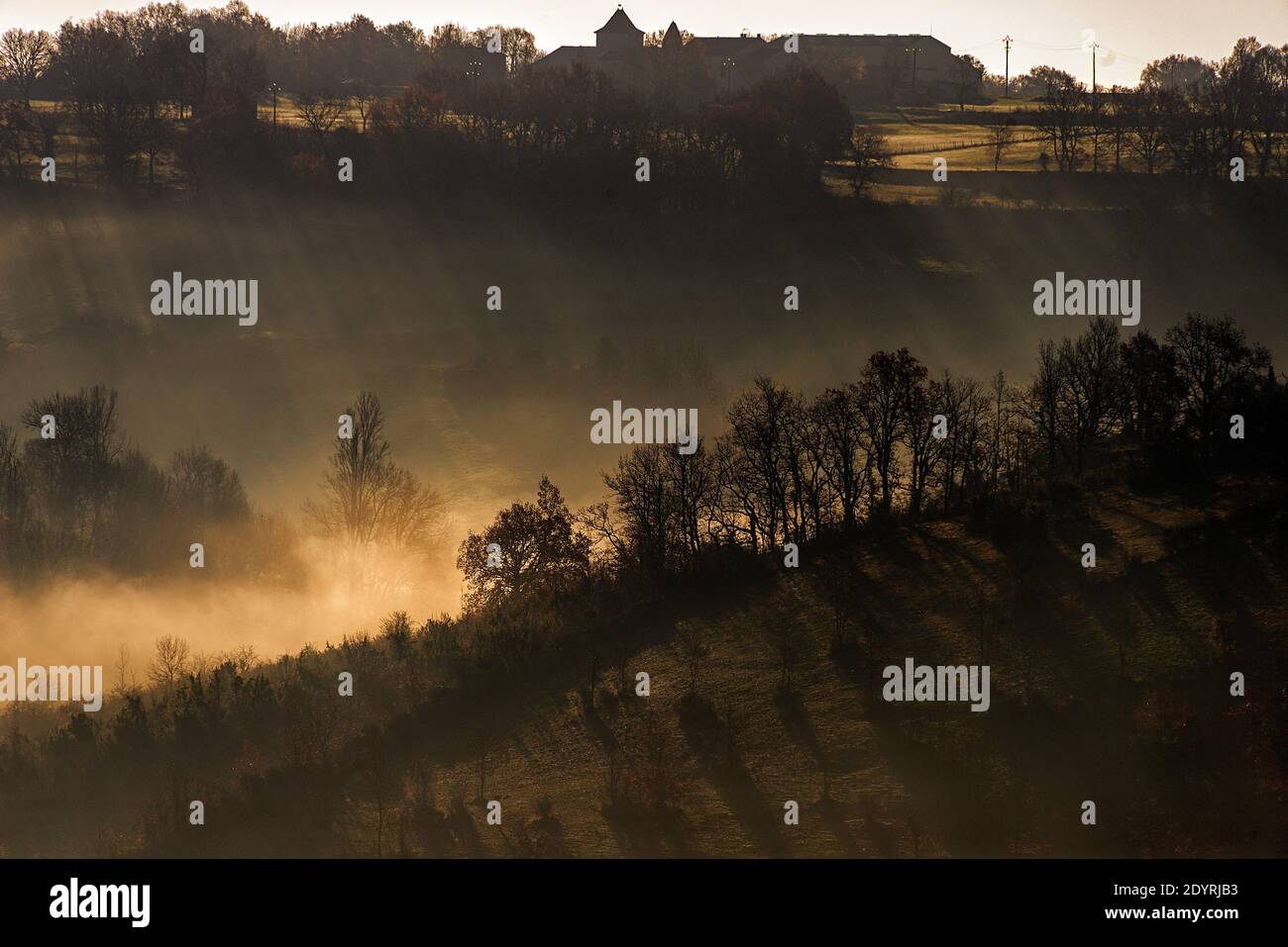 Early morning ground mist in a southern French landscape. Stock Photo