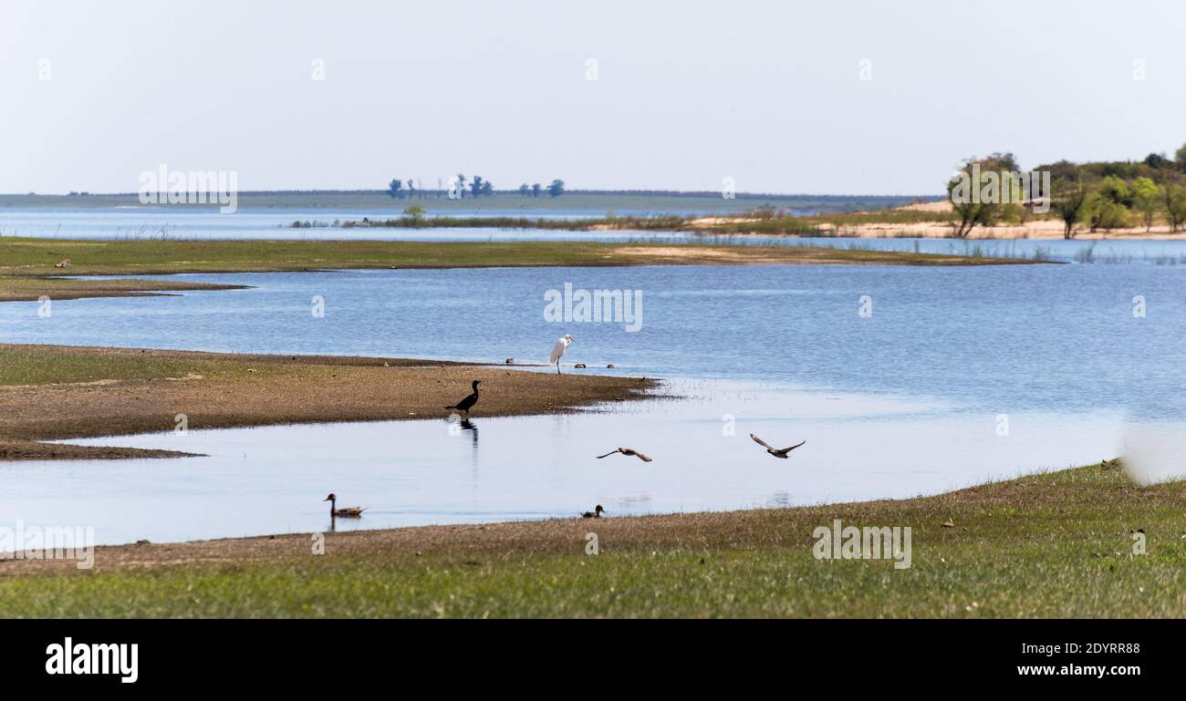 A calm seascape view with various birds on a shore in Uruguay, Tacuarembo, San Gregorio de Polanco Stock Photo