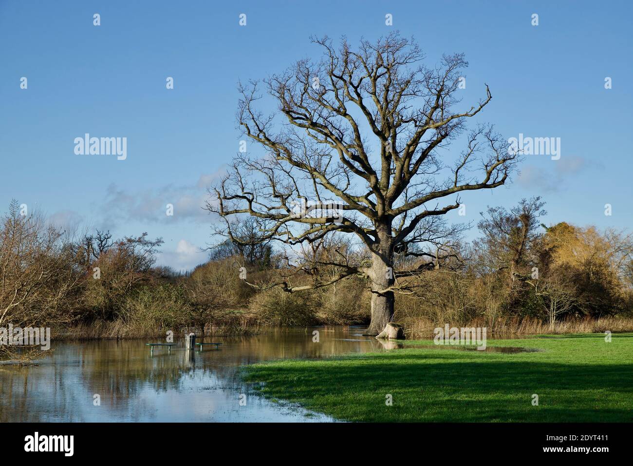 Horley Surrey High Resolution Stock Photography And Images Alamy Horley Surrey High Resolution Stock Photography And Images Alamy