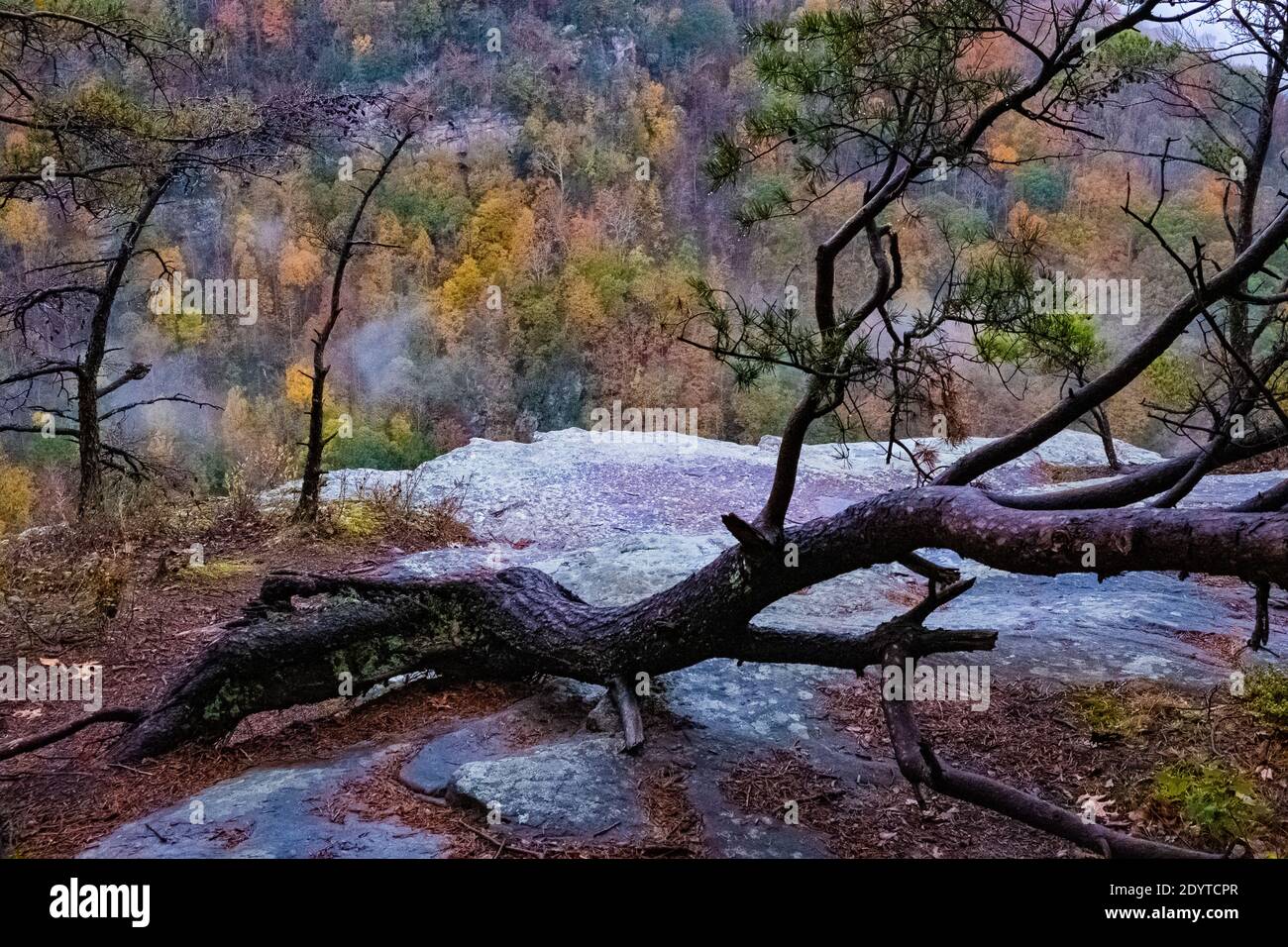 Breaks Interstate Park Virginia Stock Photo Alamy