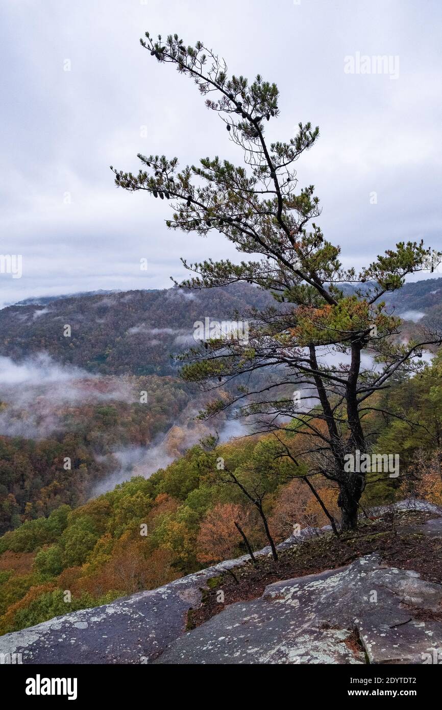 Breaks Interstate Park Virginia Stock Photo Alamy