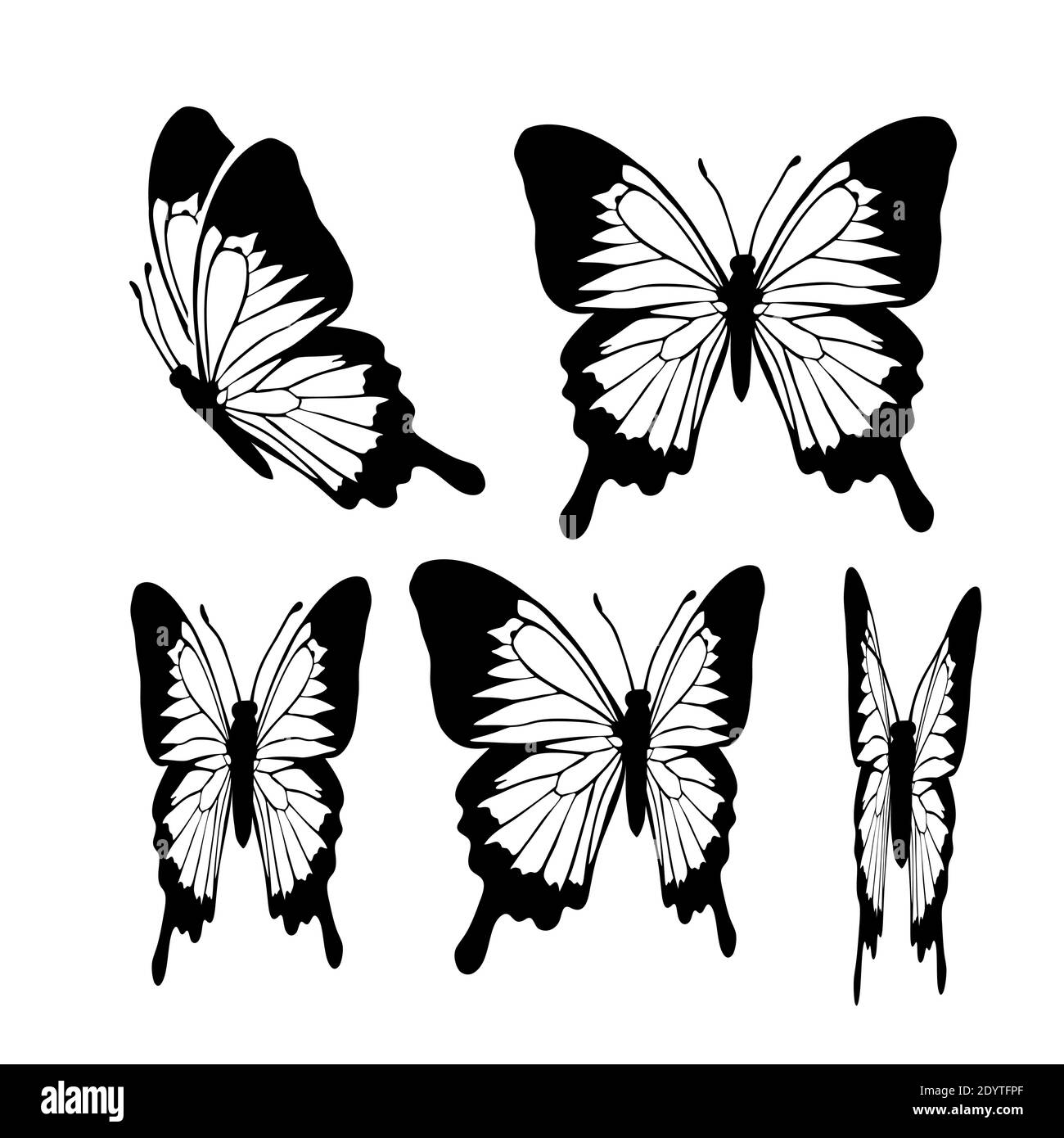 Monarch butterflies swarm Black and White Stock Photos & Images - Alamy
