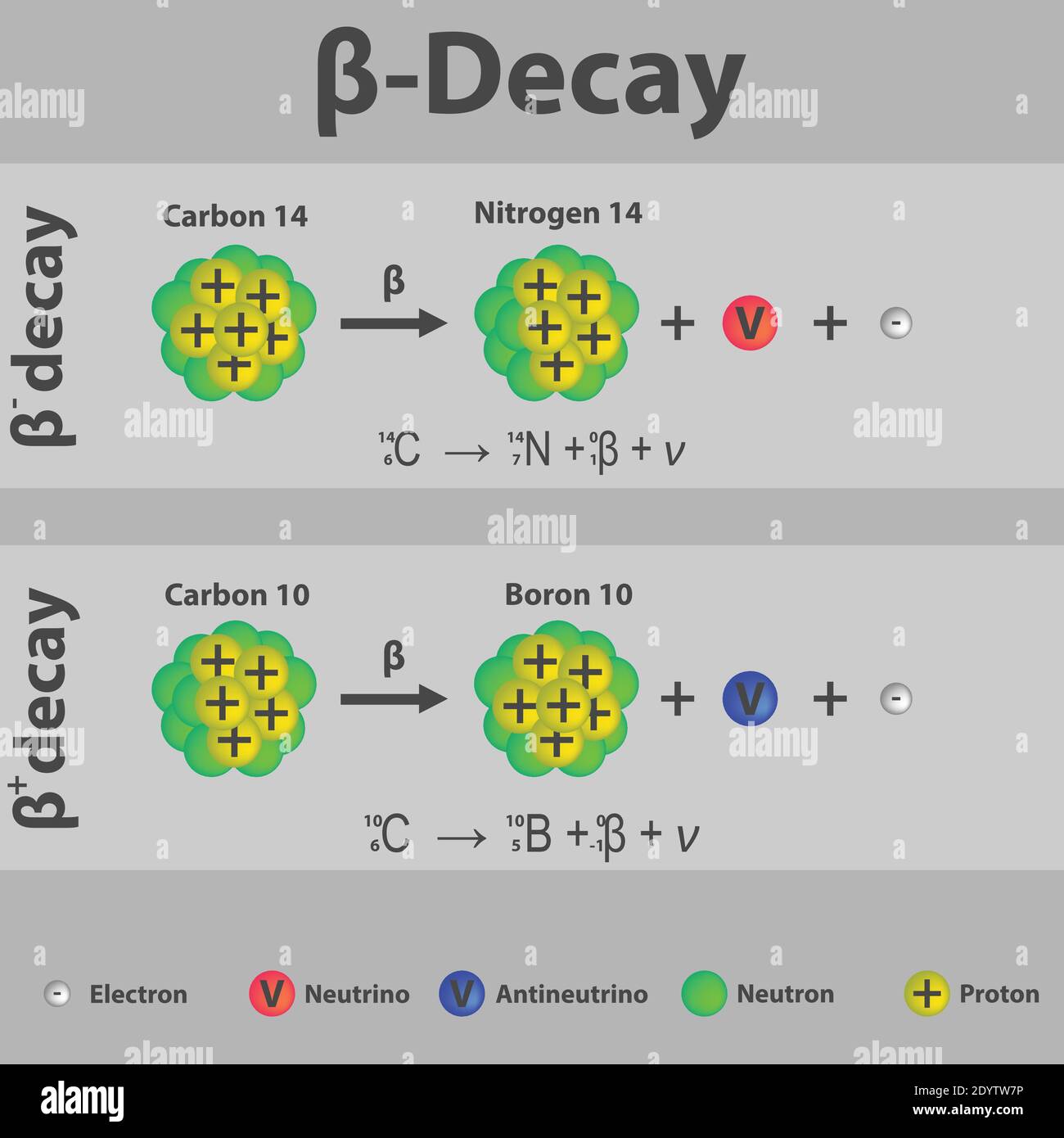 Beta plus and Beta minus Decay of carbon infographic with equation. Formation of new element by a change in number of protons in nucleus. Stock Vector