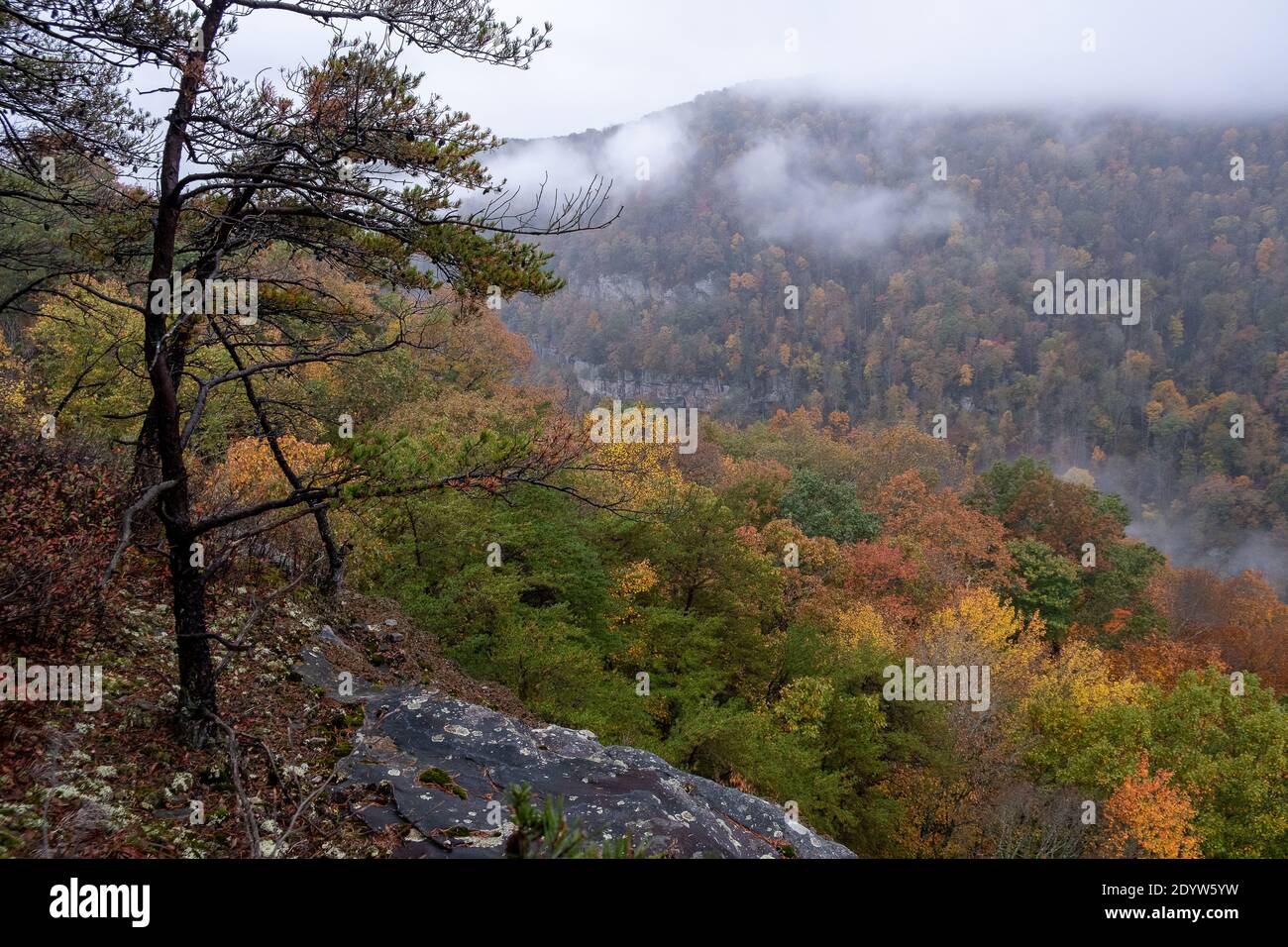 Foggy Mountain Tree Breaks Interstate Park Stock Photo Alamy