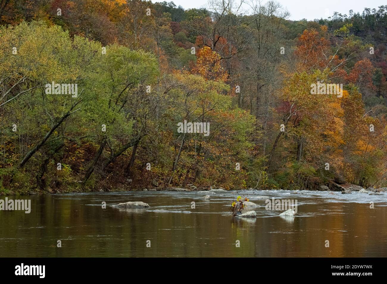 Mountain Lake in Breaks Interstate Park Virginia Stock Photo Alamy