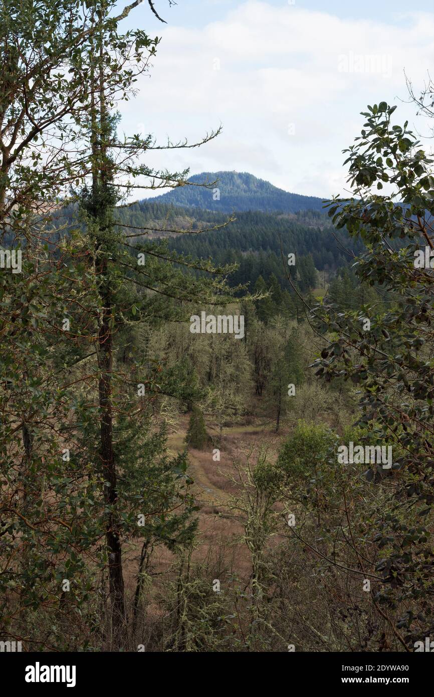 View of Spencer Butte from a distance in Eugene, Oregon, USA Stock