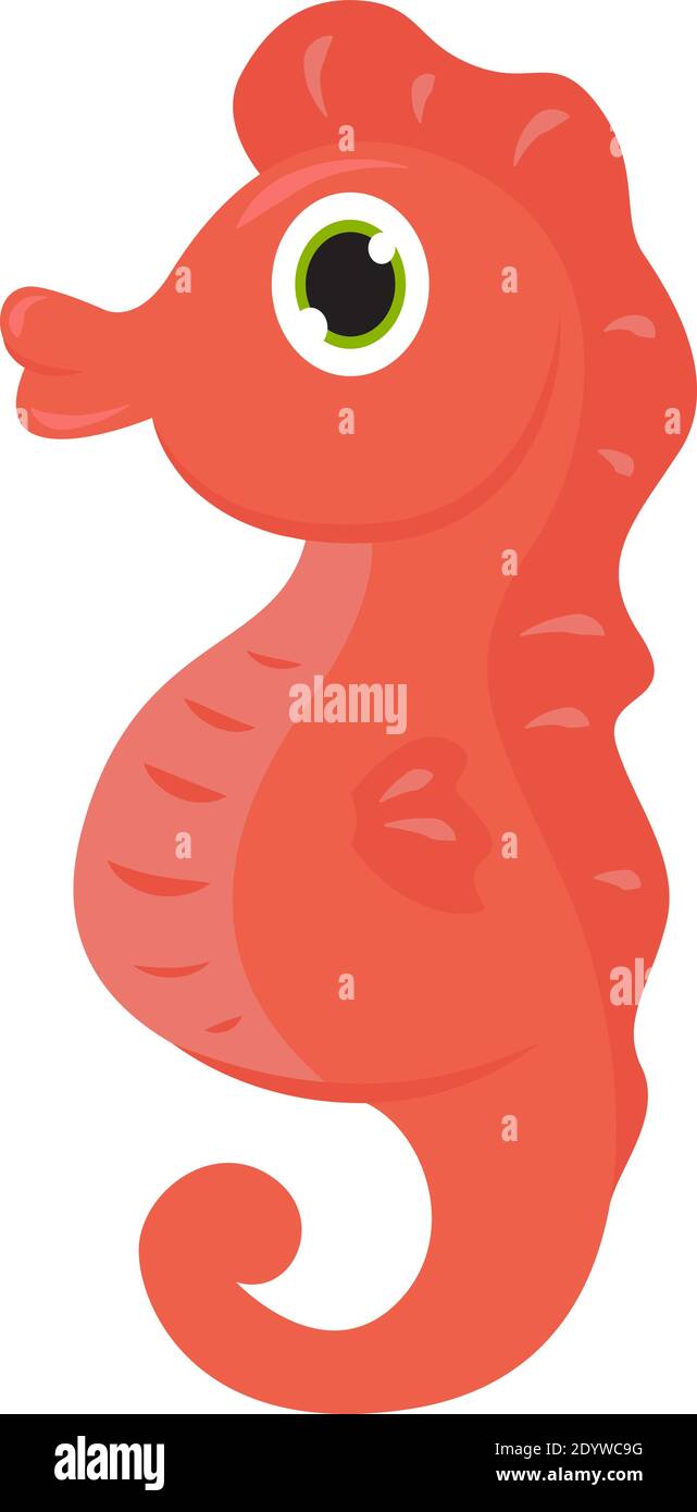 Red baby seahorse, illustration, vector on a white background Stock Vector  Image & Art - Alamy