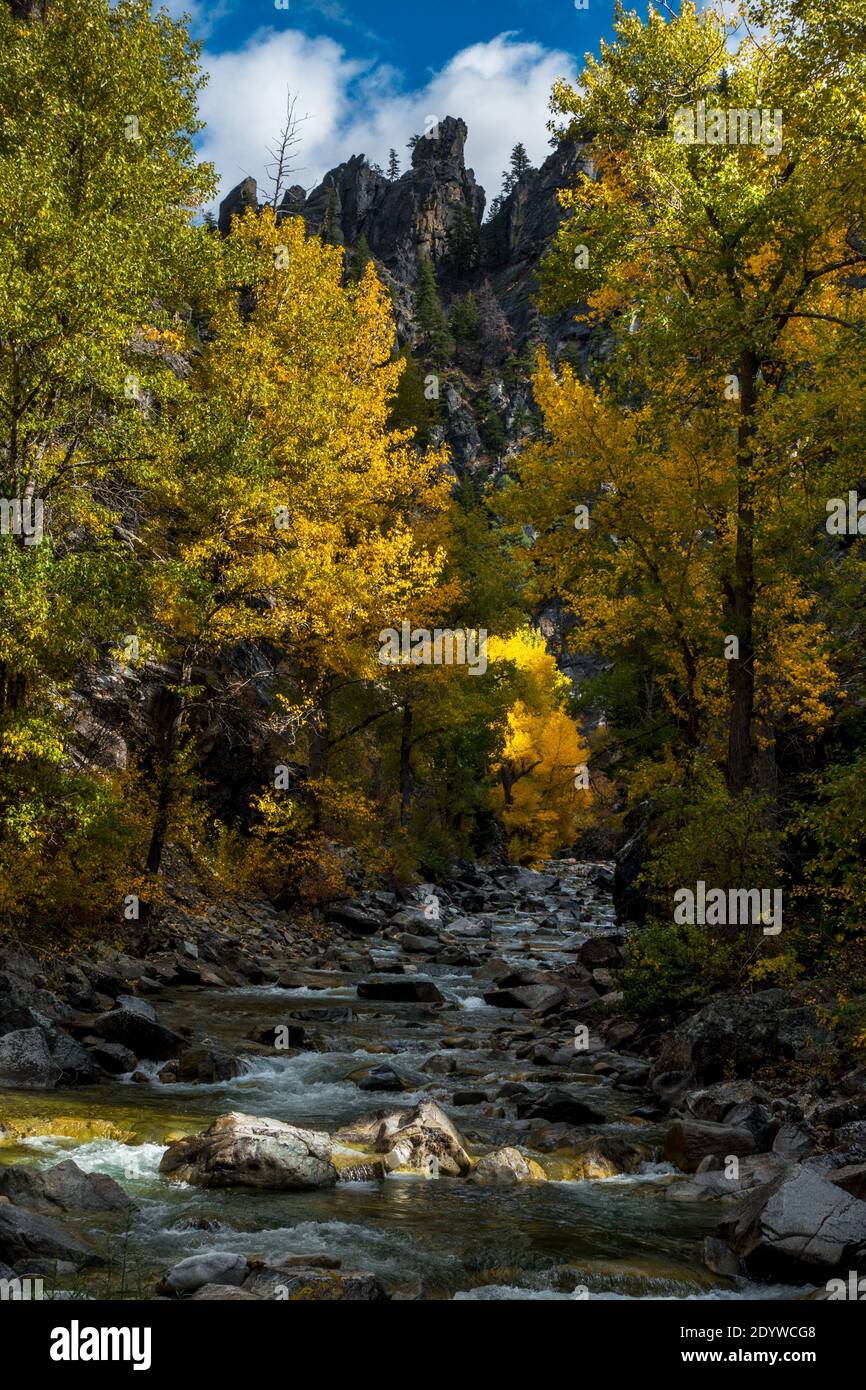 Fall colors along the epic North Fork of the Boise River, Boise National Forest, Idaho, USA Stock Photo