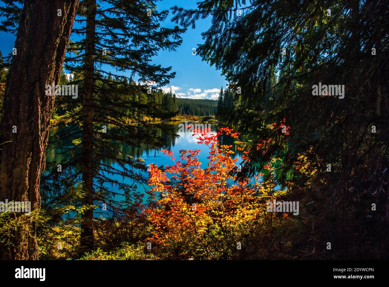 Fall colors at Clear Lake in Central Oregon Cascades with the Sisters Mountains in the distant background Stock Photo