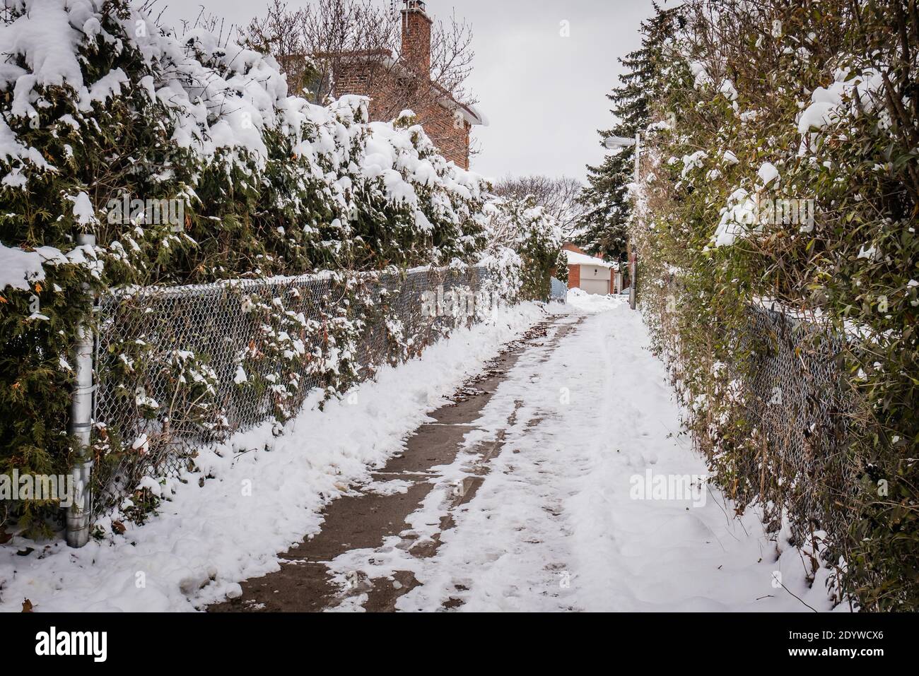 residential alley way covered with snow in canada Stock Photo - Alamy