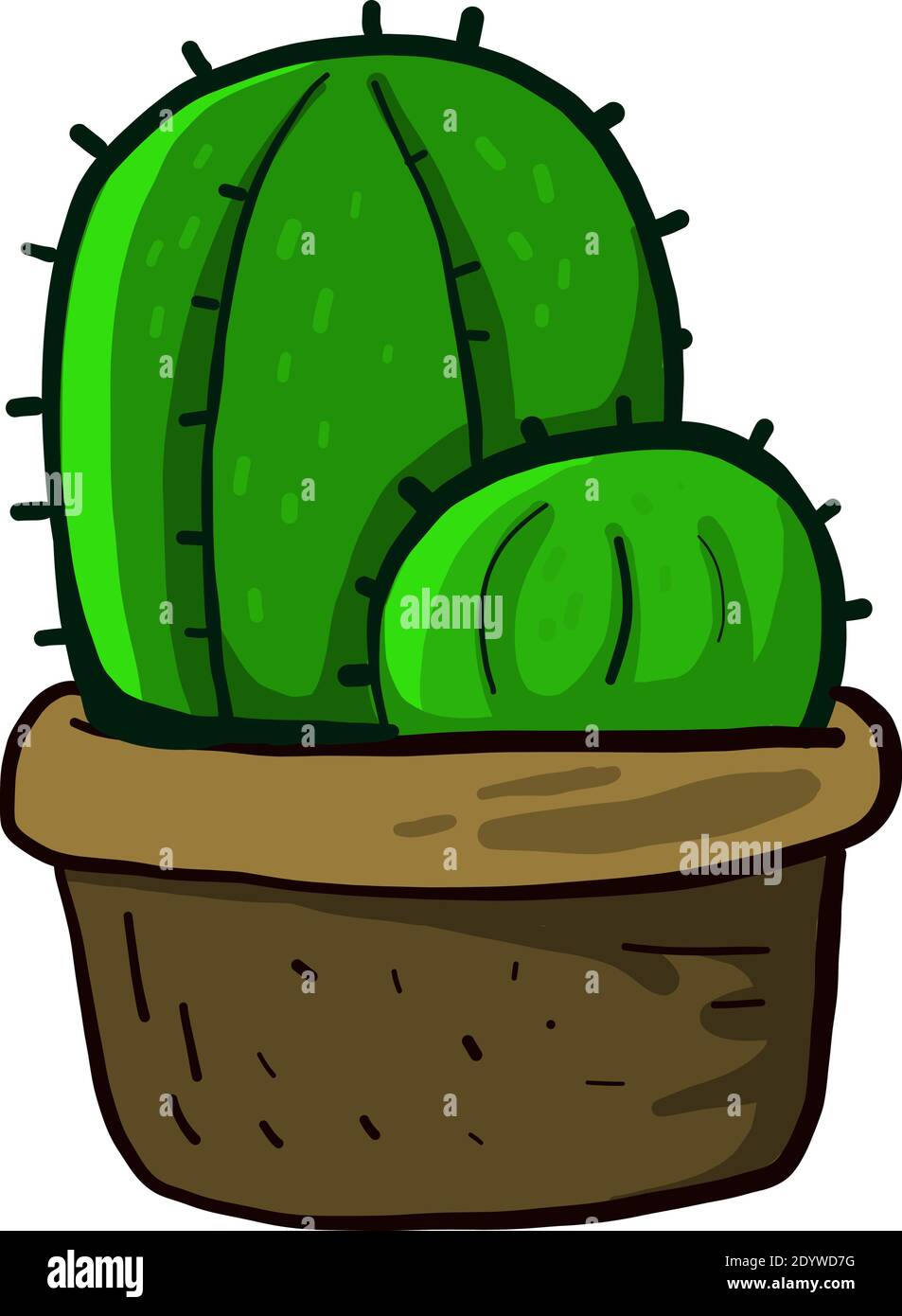 Two cactuses in a pot, illustration, vector on a white background. Stock Vector