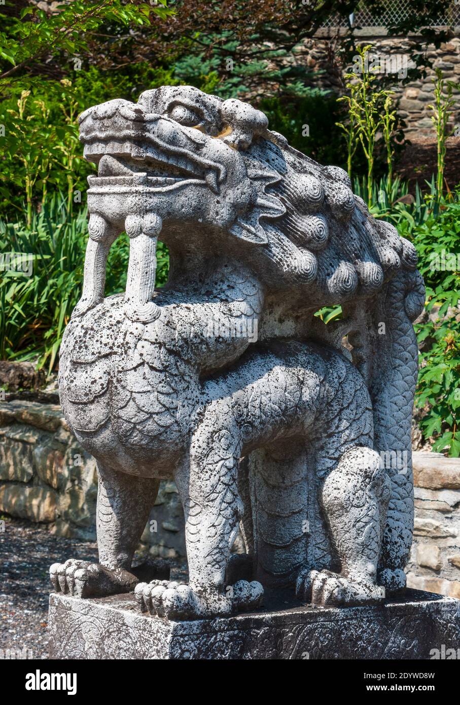 Chinese dragon temple guardian carved in stone. Ornamental statue
