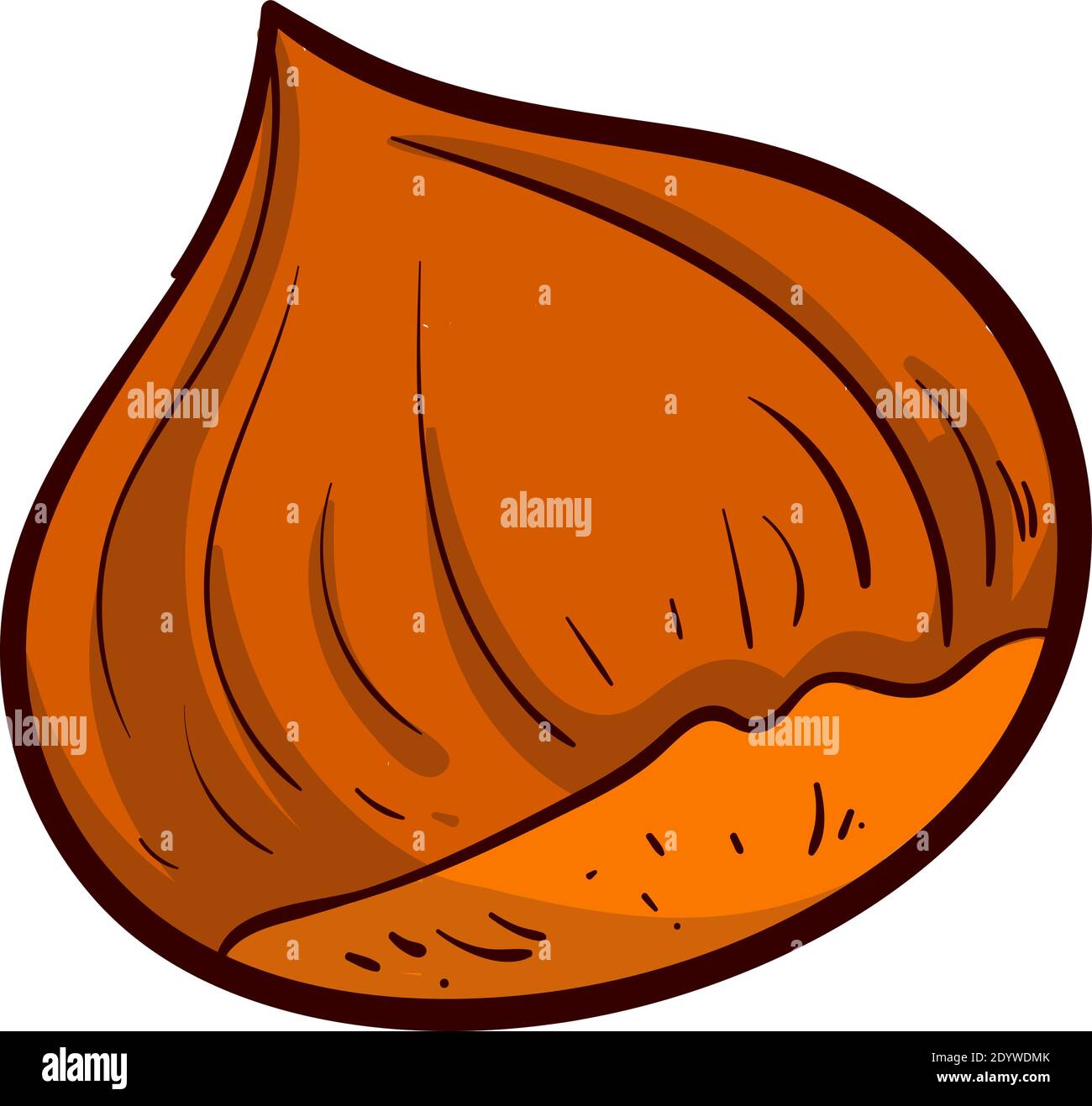 Brown chestnut, illustration, vector on a white background. Stock Vector