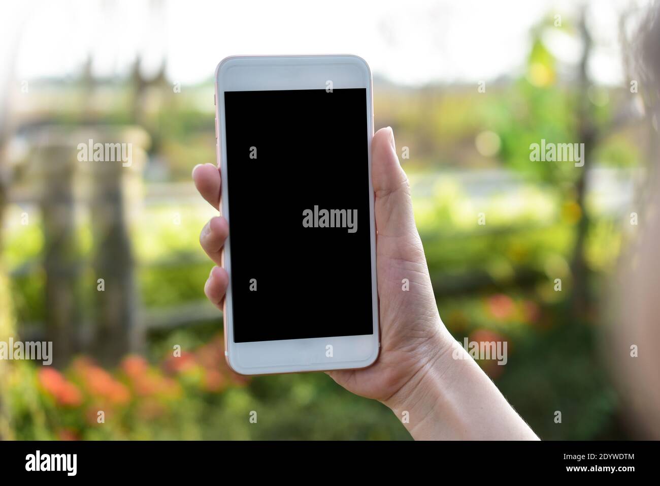 Hand holding Mobile Smart phone on Green Background Stock Photo - Alamy