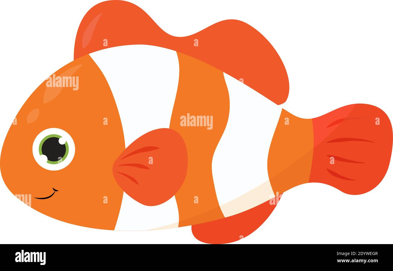Clown fish, illustration, vector on a white background. Stock Vector