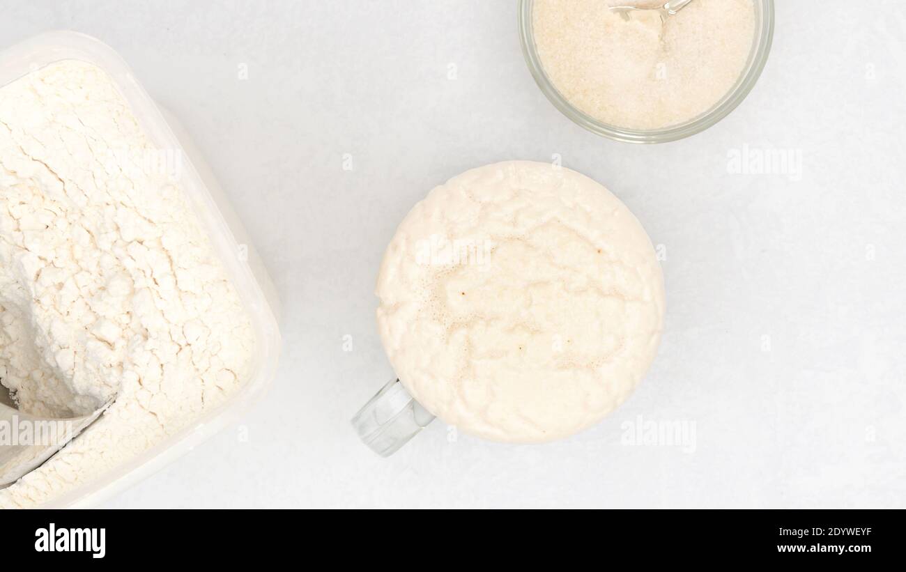 Homemade starter yeast growing. Step by step bread dough recipe, close