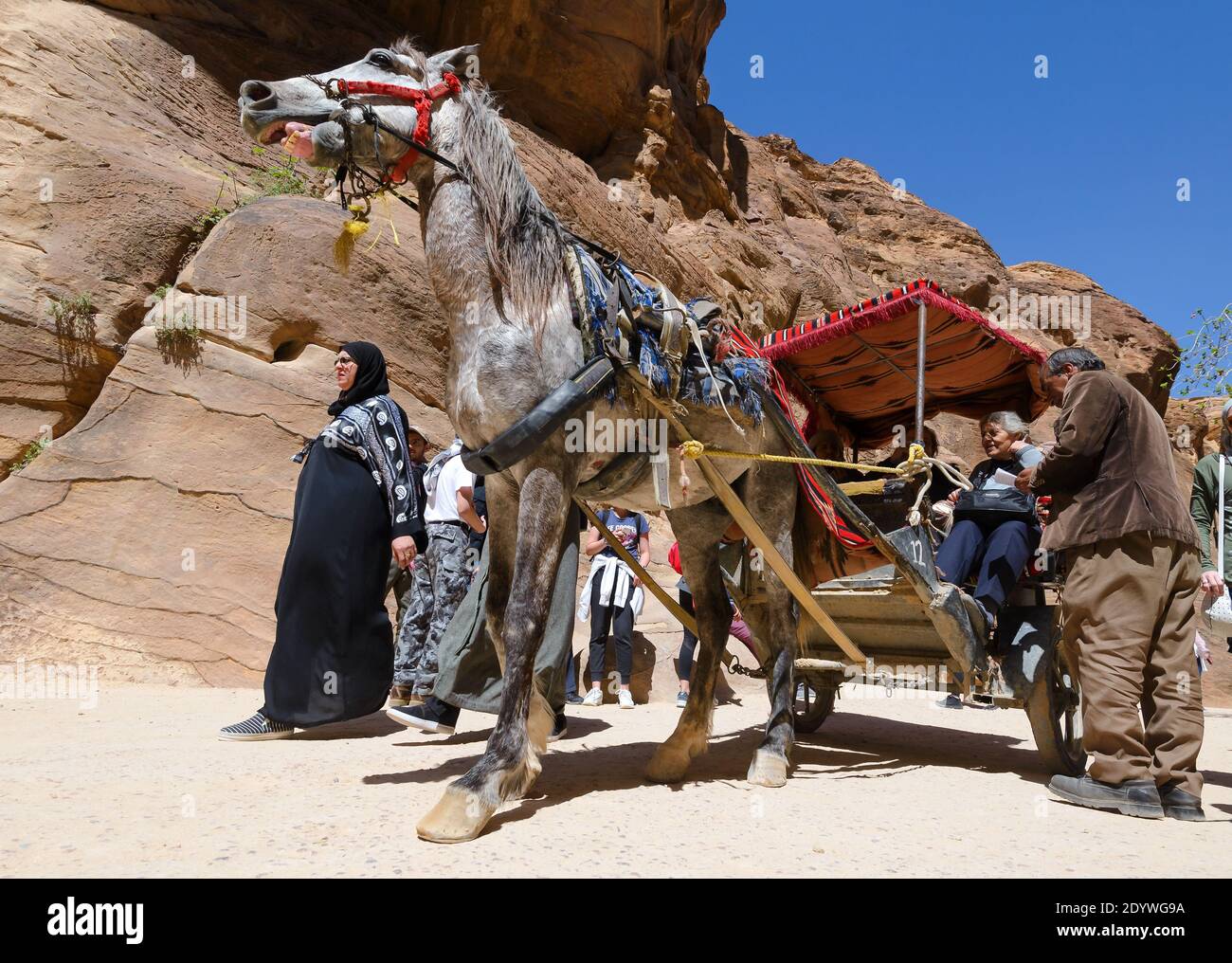 Horse carriage in the Siq, entrance to Petra, Jordan. Tourists horse riding. Stock Photo