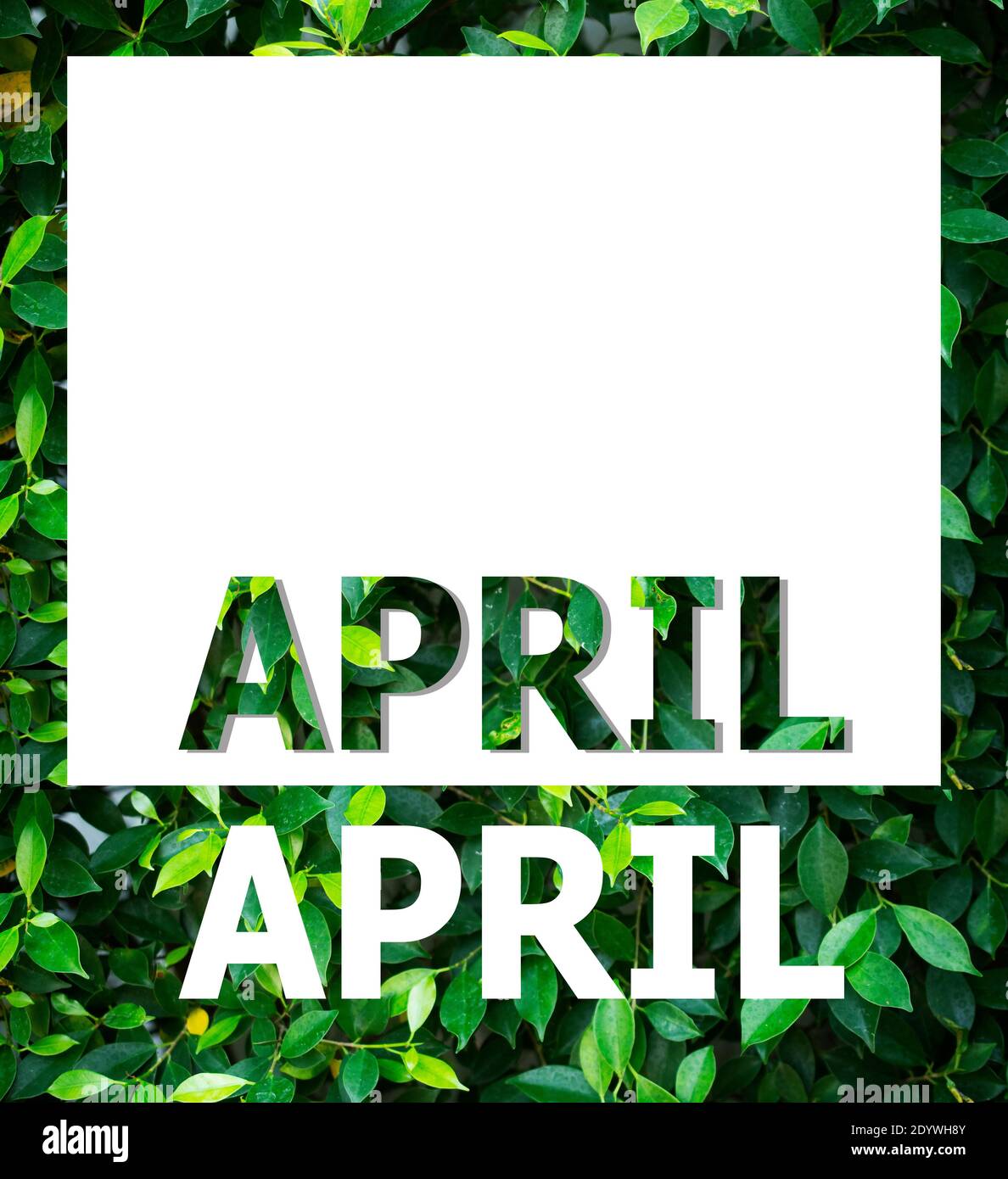 list-of-calendar-months-designed-on-a-natural-green-leaf-background