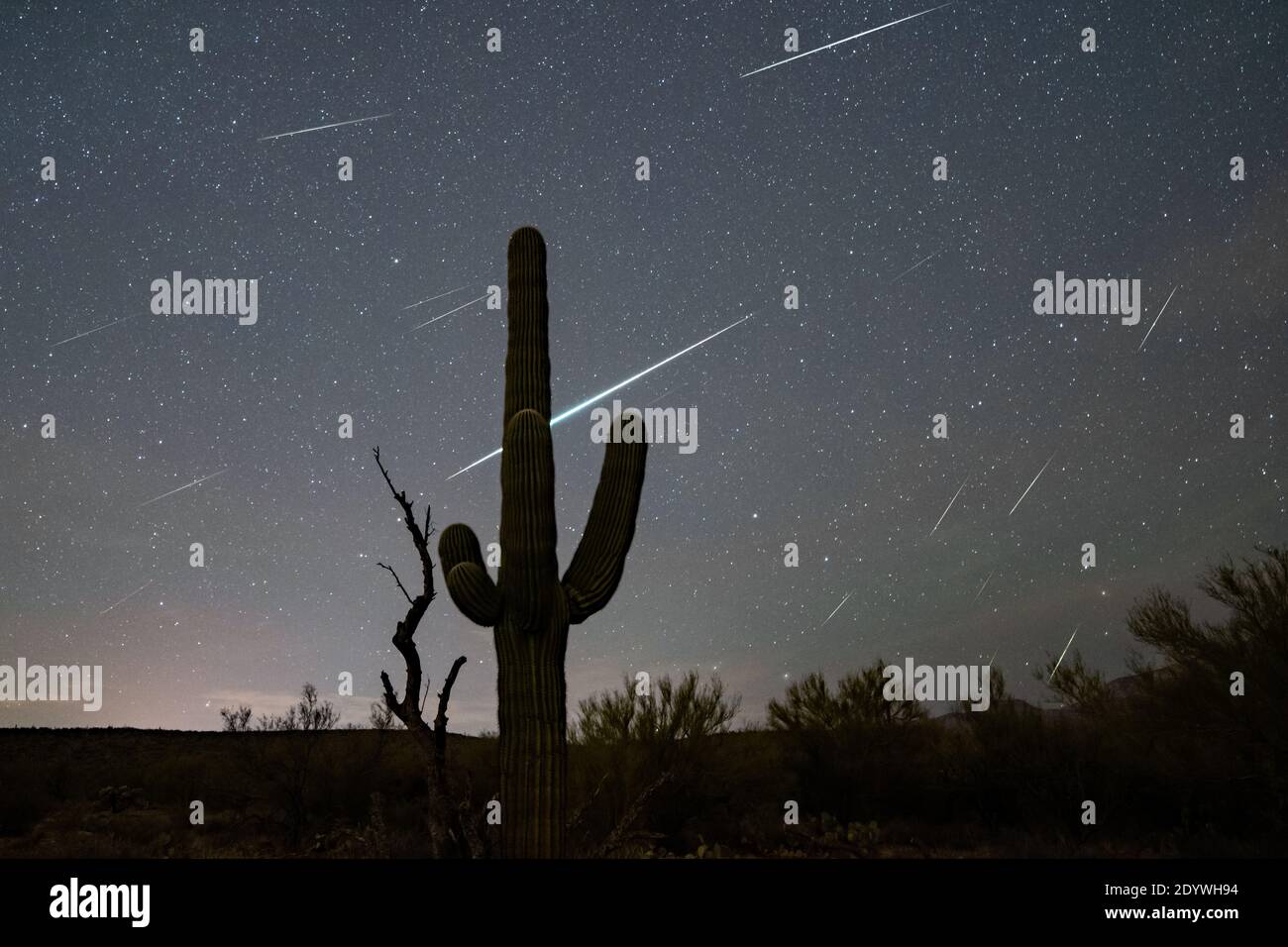 Geminid meteor shower in the sonoran desert Stock Photo