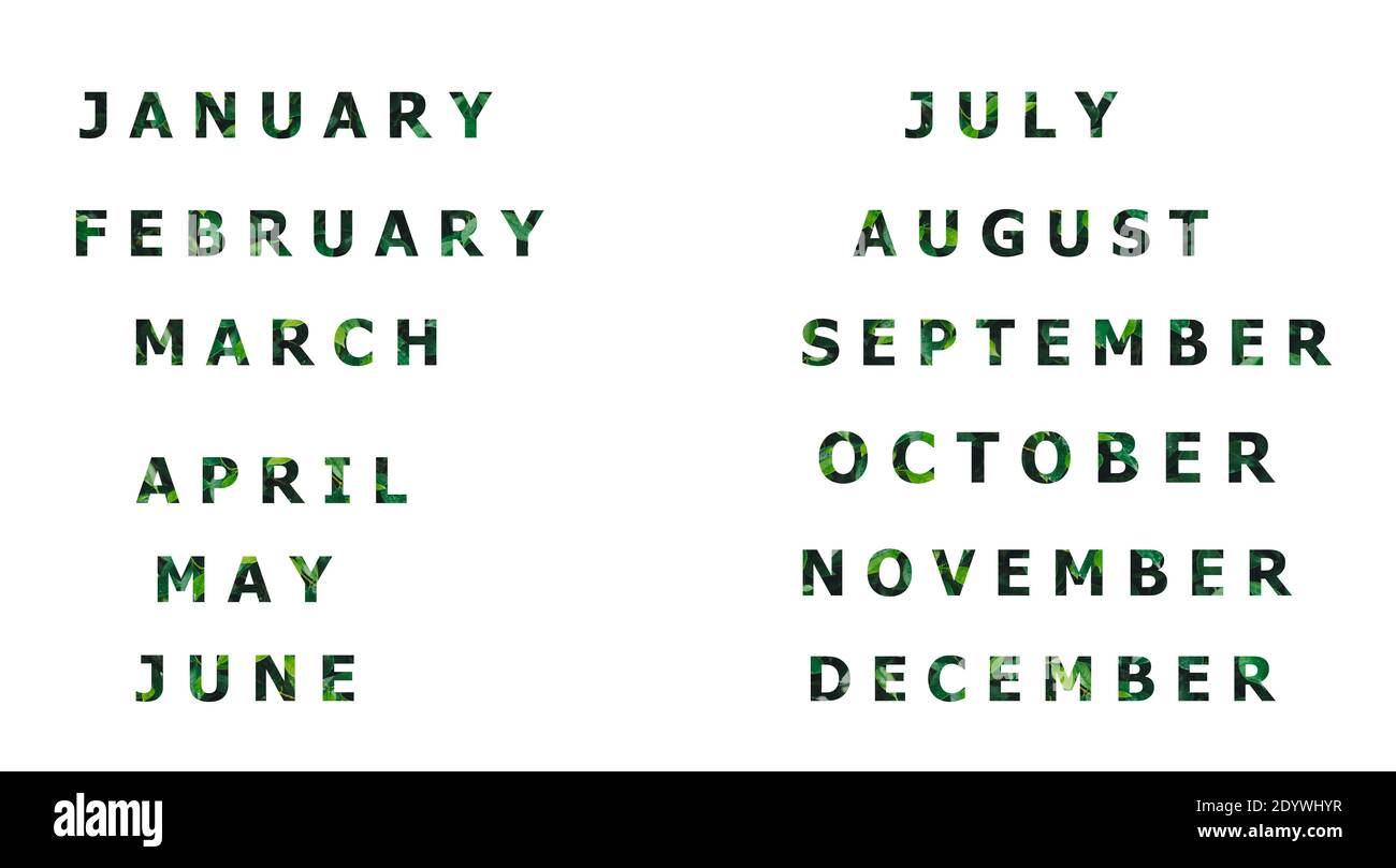 List of calendar months Designed on a natural green leaf background Stock Photo