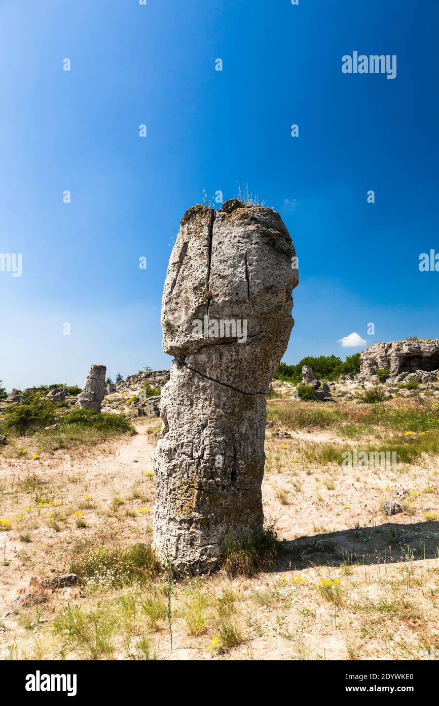 The Stone Forest, Pobiti Kamani, Dikilitash, natural stone formations, Varna Province, Bulgaria, Southeast Europe, Europe Stock Photo
