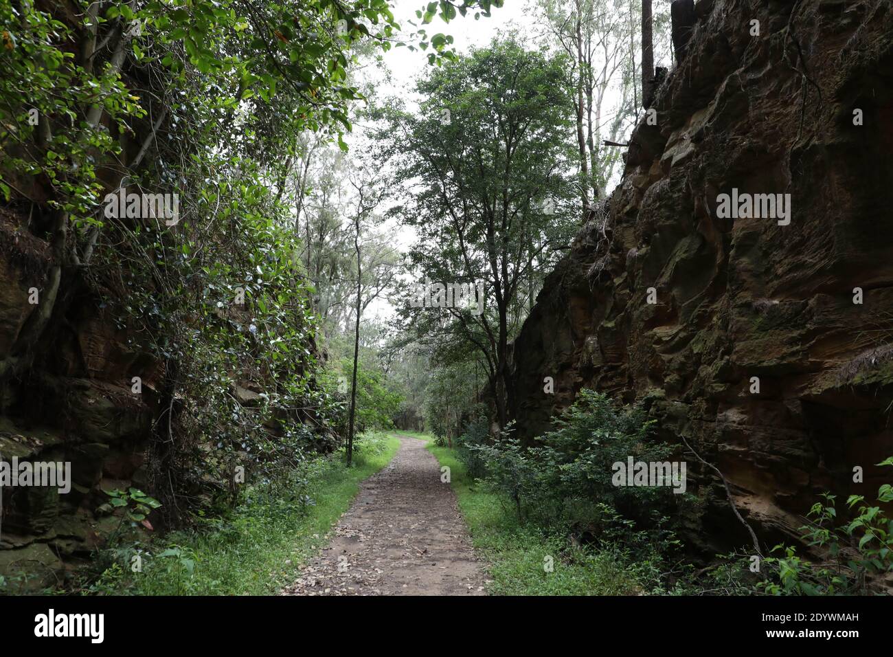 Lapstone zig zag hires stock photography and images Alamy