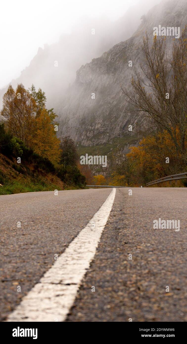 Mystic foggy forest road hi-res stock photography and images - Alamy