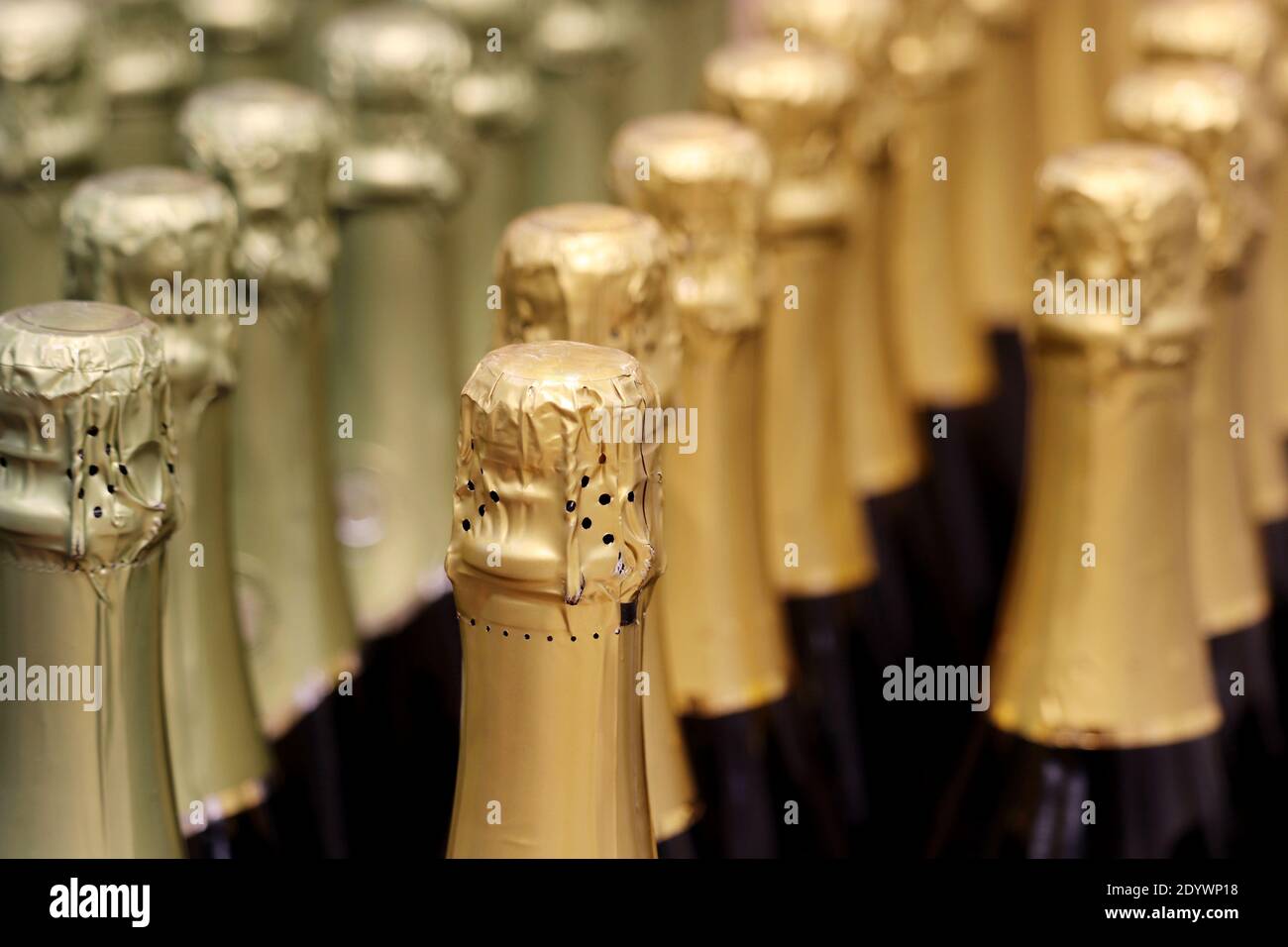 Sparkling wine bottles in golden foil for celebration. Champagne in wine store, alcohol industry Stock Photo