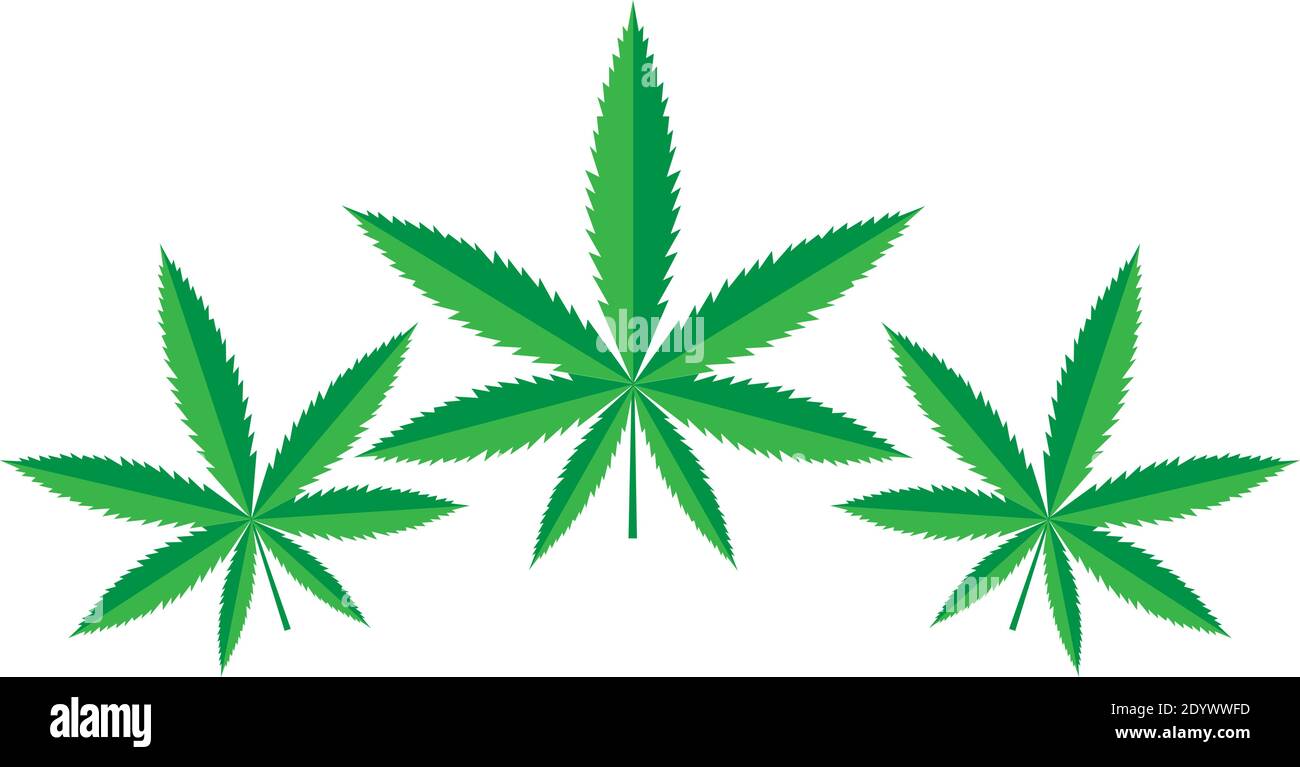 Plant leaf weed Stock Vector Images - Alamy