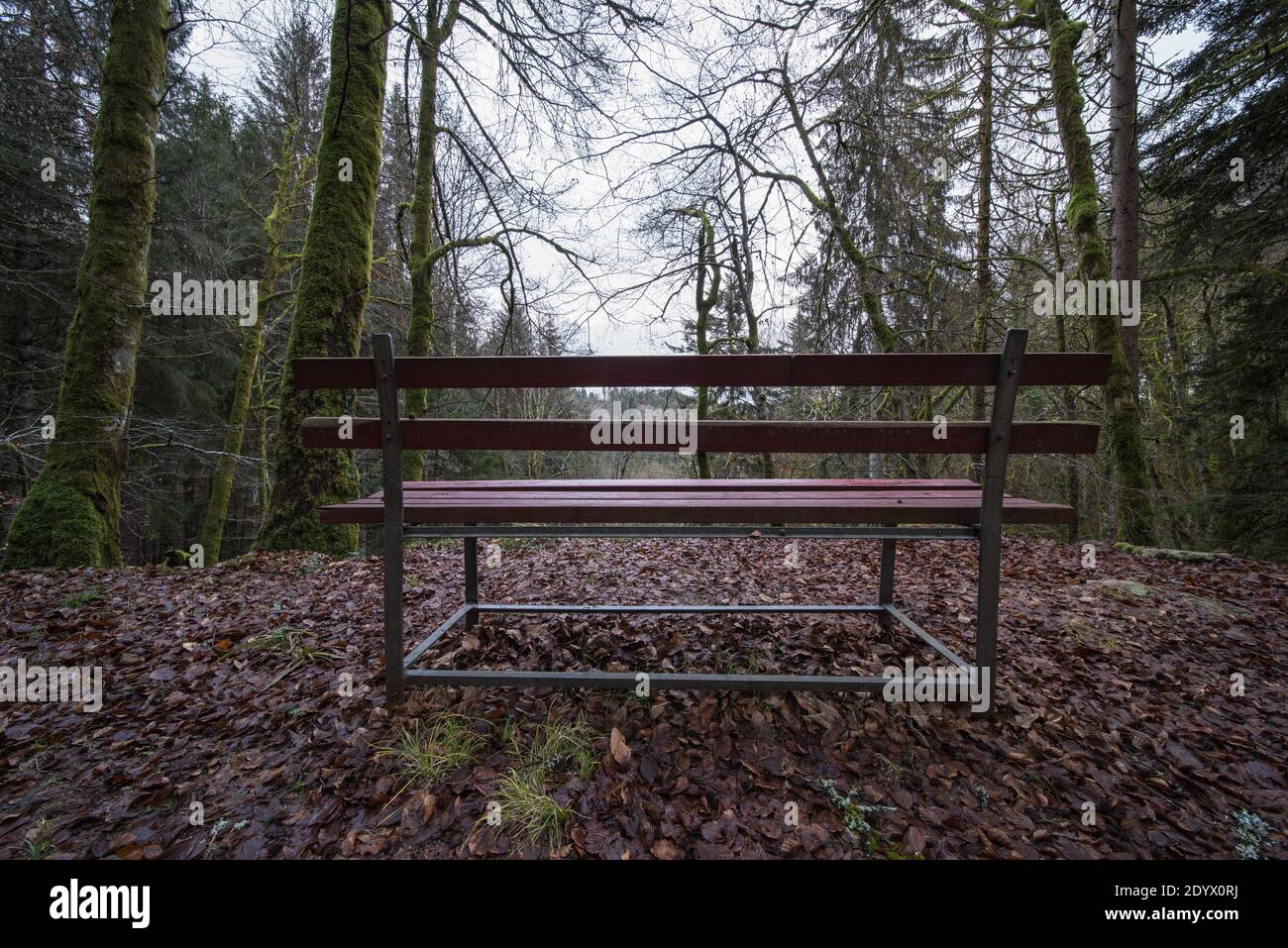 Place to sit in woods hi-res stock photography and images - Alamy