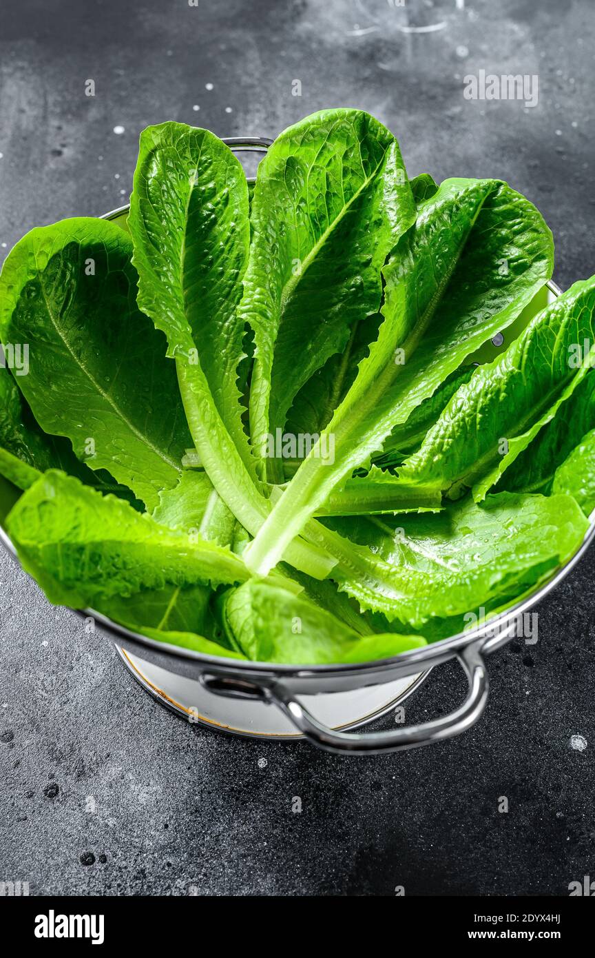 Ripe organic green salad Romano in a colander. Black background. Top ...