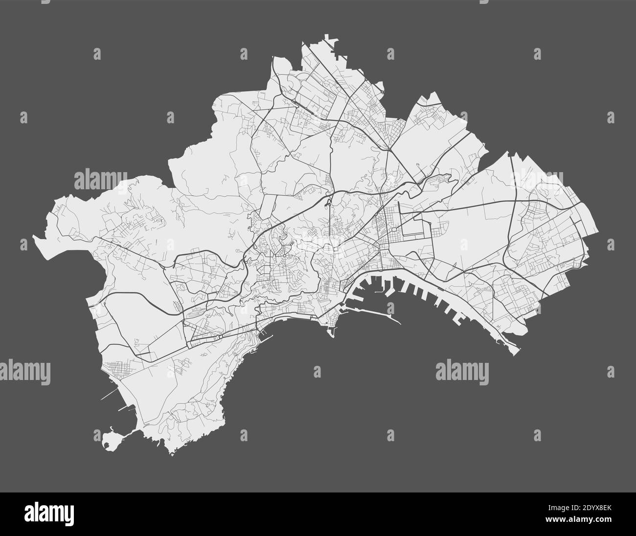 Naples map. Detailed vector map of Naples city administrative area ...