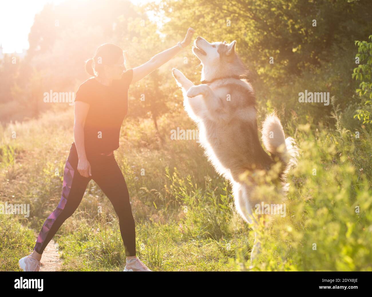 Samoyed Woman Hi res Stock Photography And Images Alamy