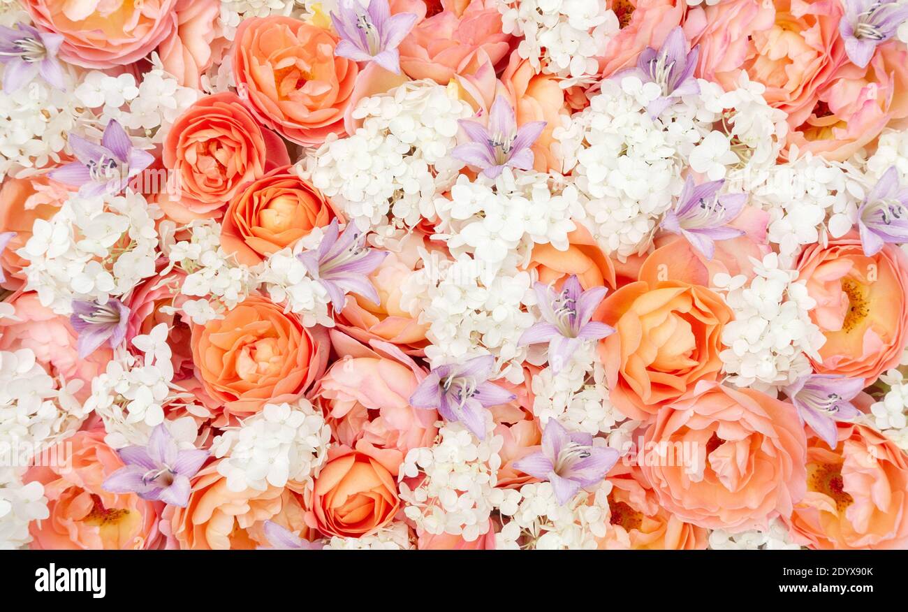 pink and orange floral background