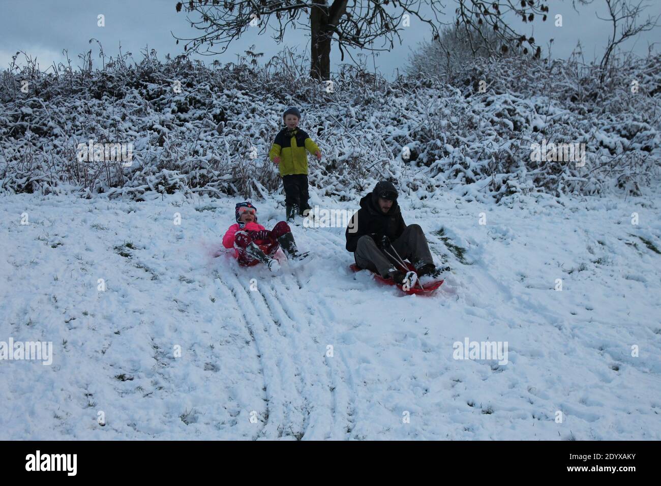 Father and children having fun sledging down a snow covered hill, family fun concept Stock Photo