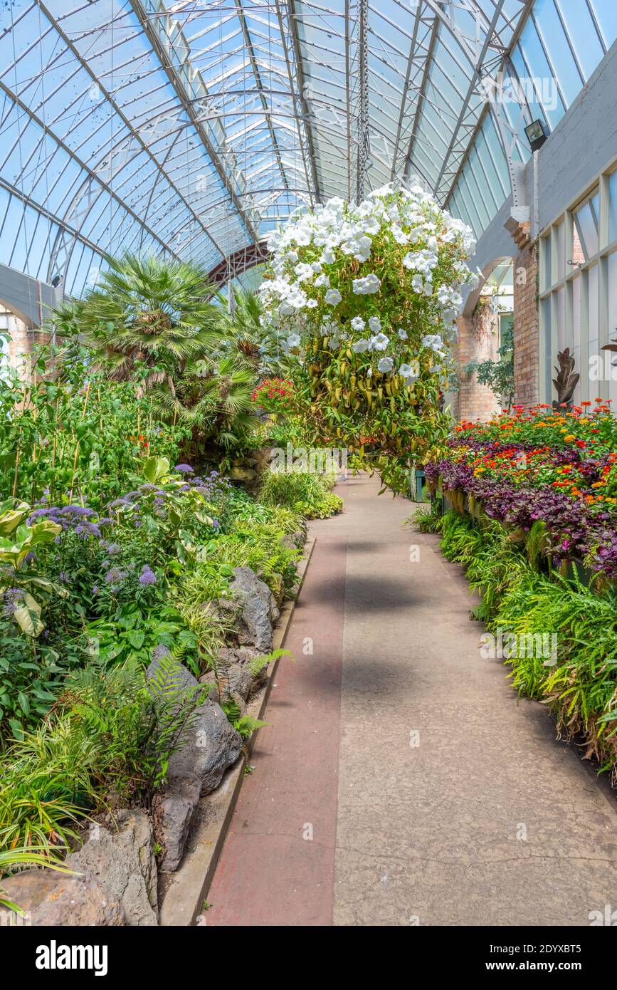 Auckland Domain Wintergardens in New Zealand Stock Photo - Alamy