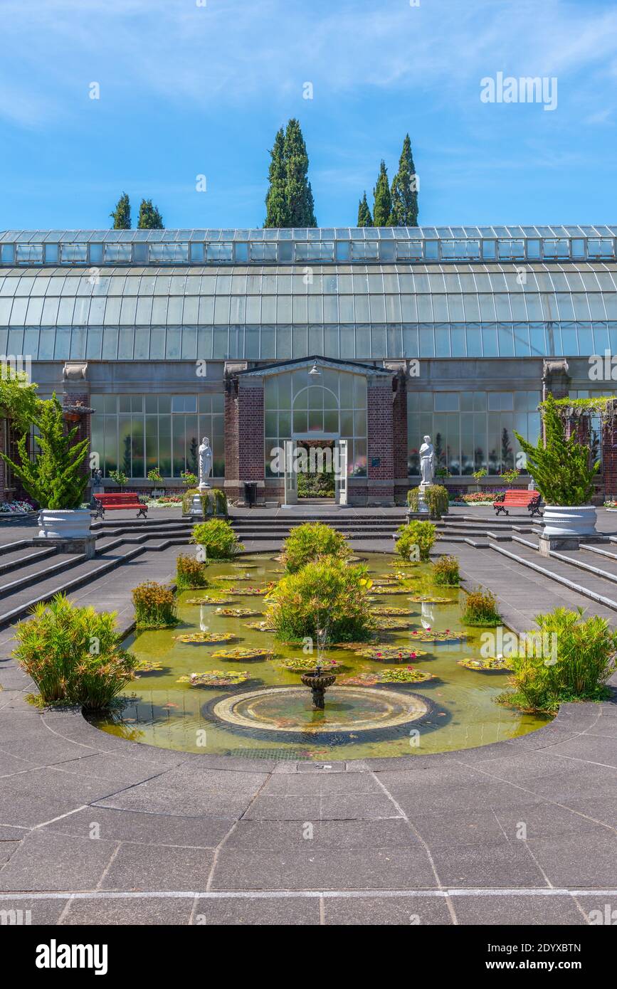 Auckland Domain Wintergardens in New Zealand Stock Photo - Alamy
