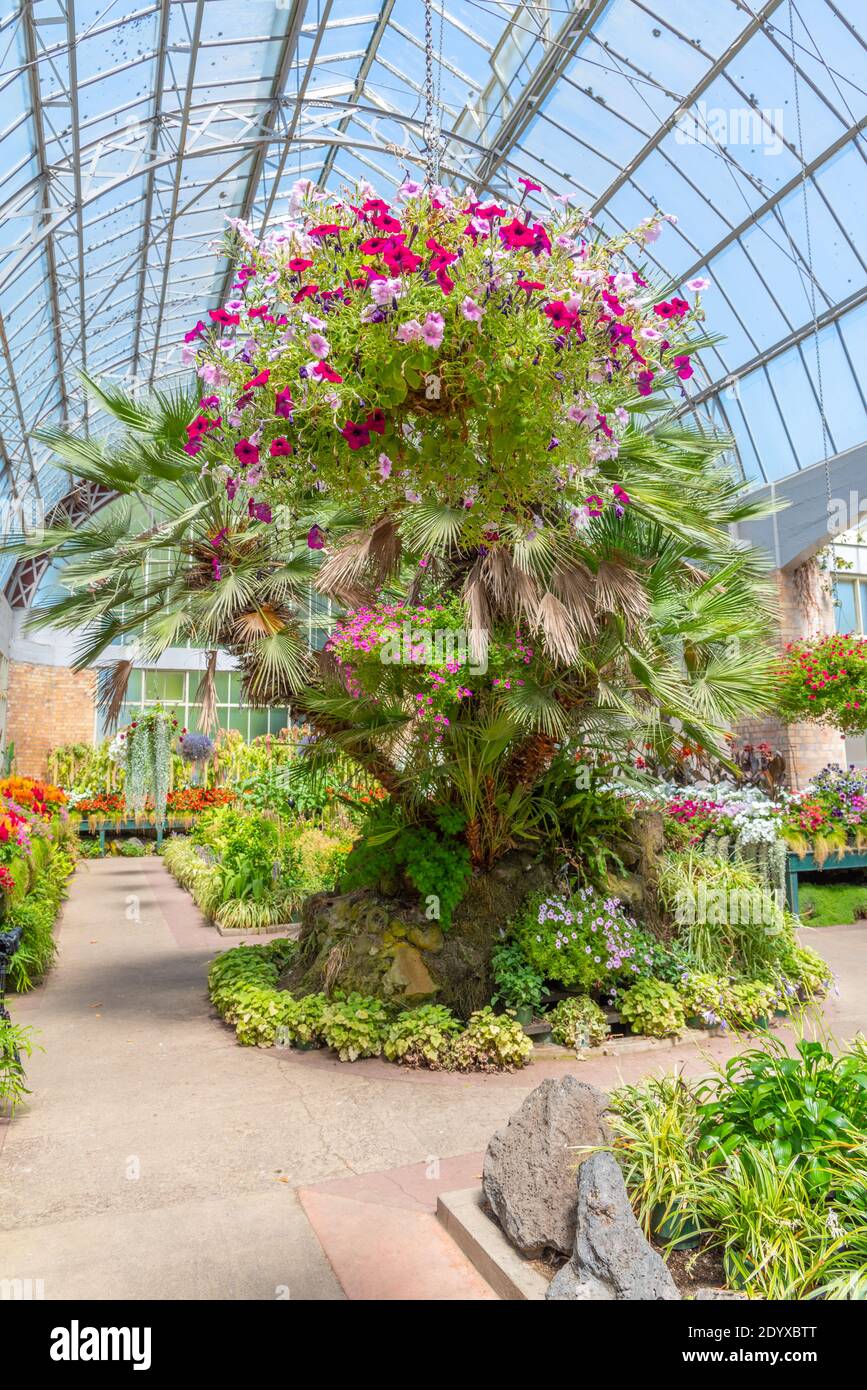 Auckland Domain Wintergardens in New Zealand Stock Photo - Alamy